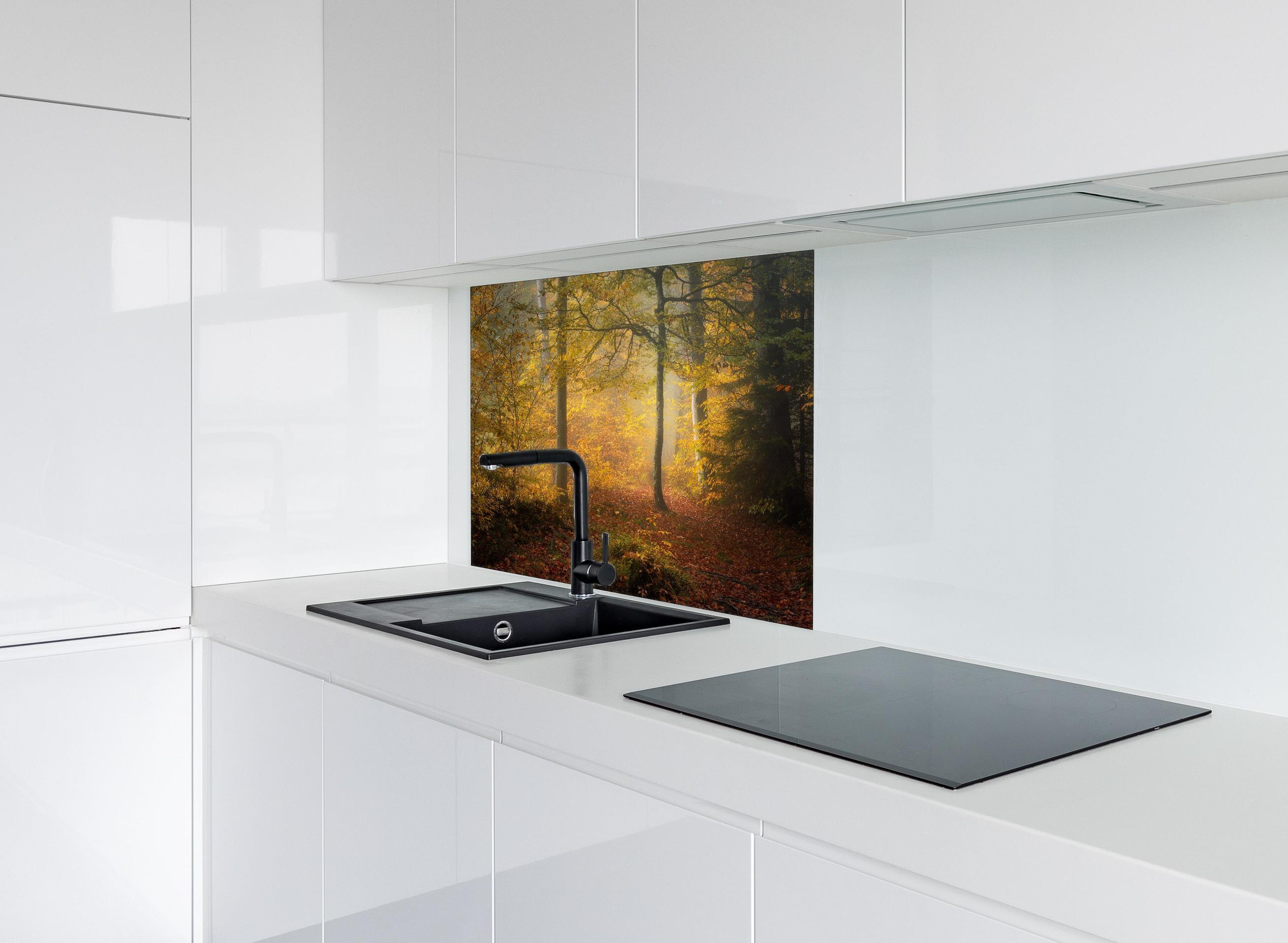 Spritzschutz - Laub im Wald hinter einem Cerankochfeld zwischen Holz-Kochutensilien
