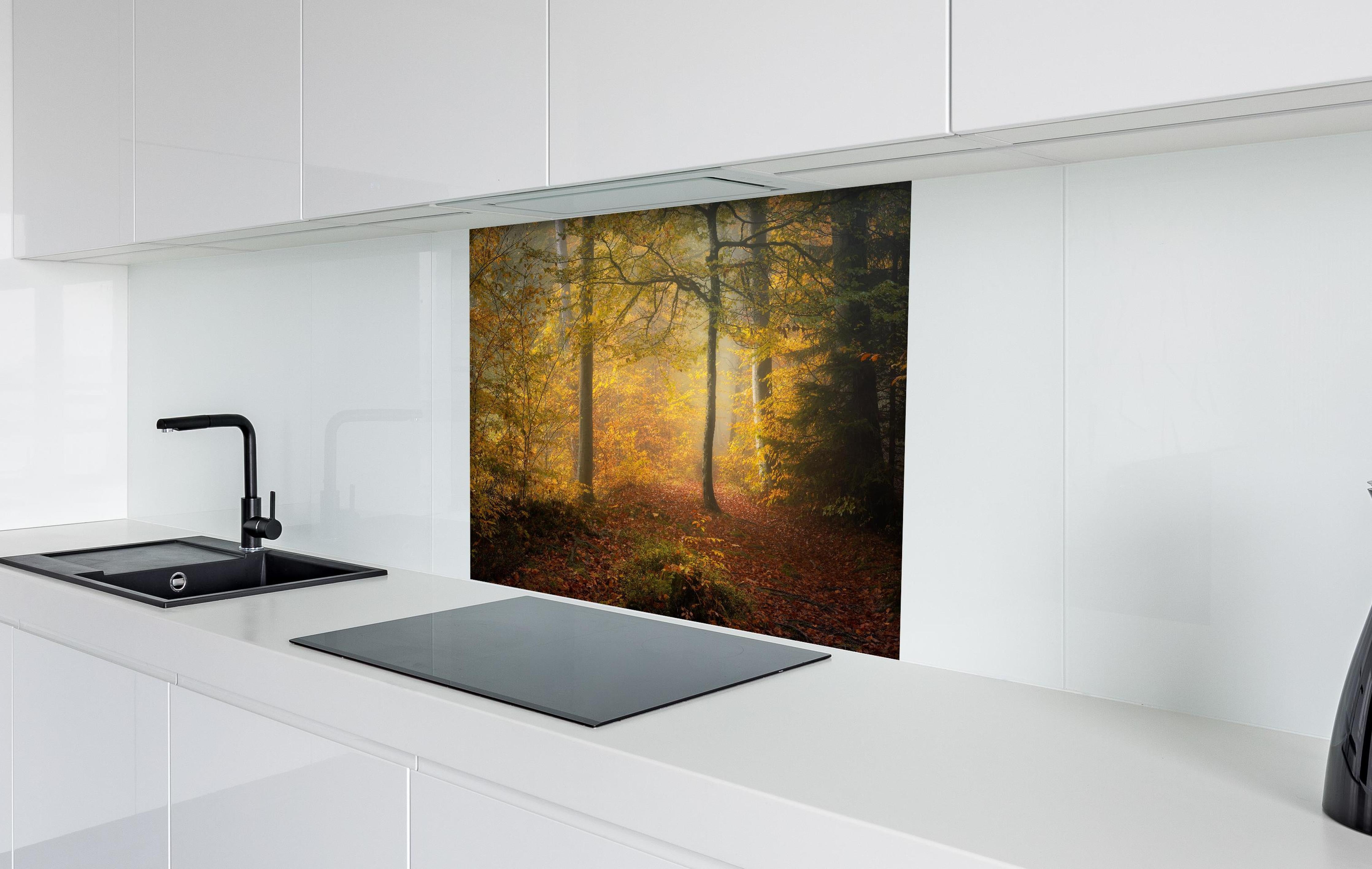 Spritzschutz - Laub im Wald hinter einem Cerankochfeld zwischen Holz-Kochutensilien
