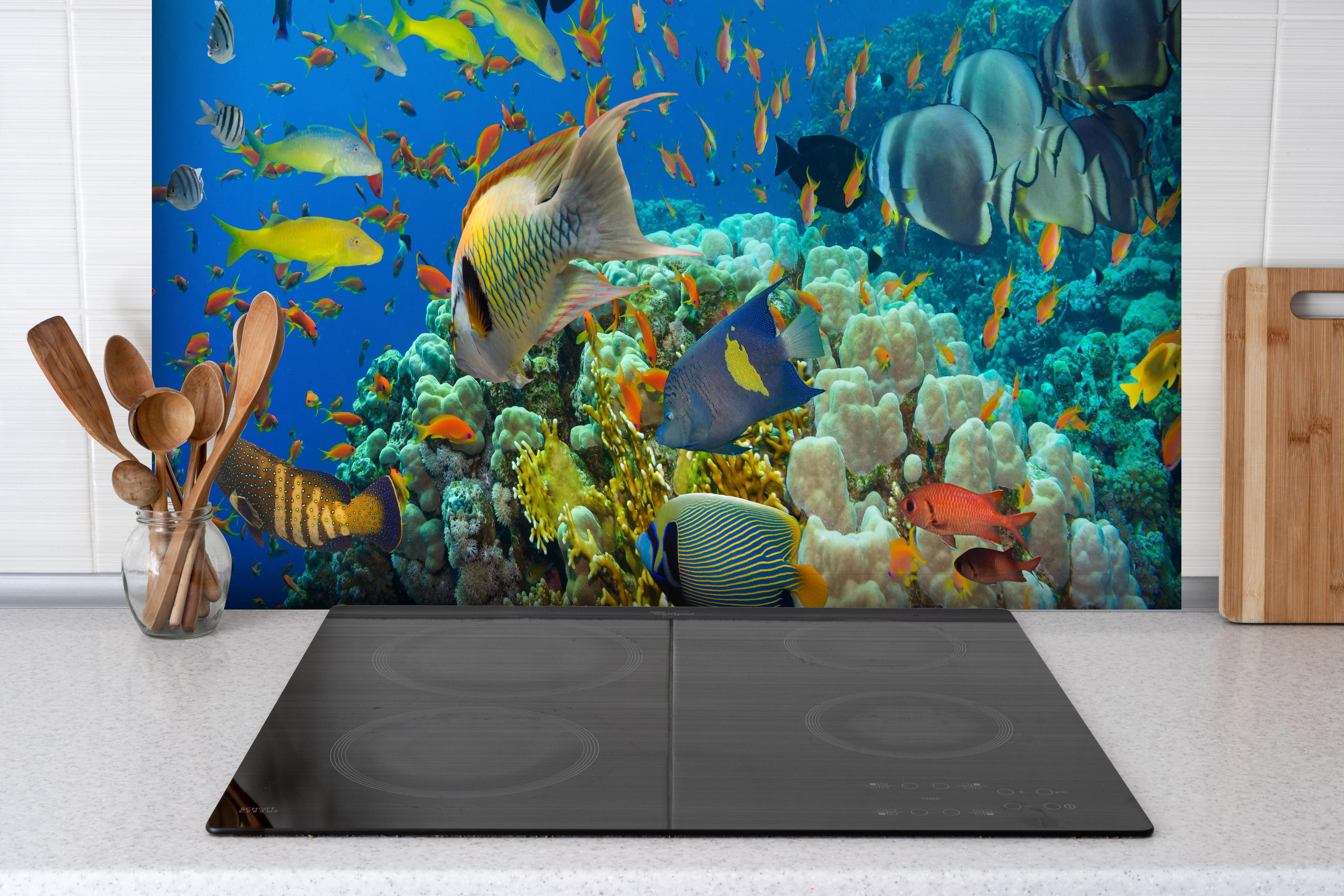 Spritzschutz - Lebendige Unterwasserwelt mit bunten Korallen hinter einem Cerankochfeld zwischen Holz-Kochutensilien
