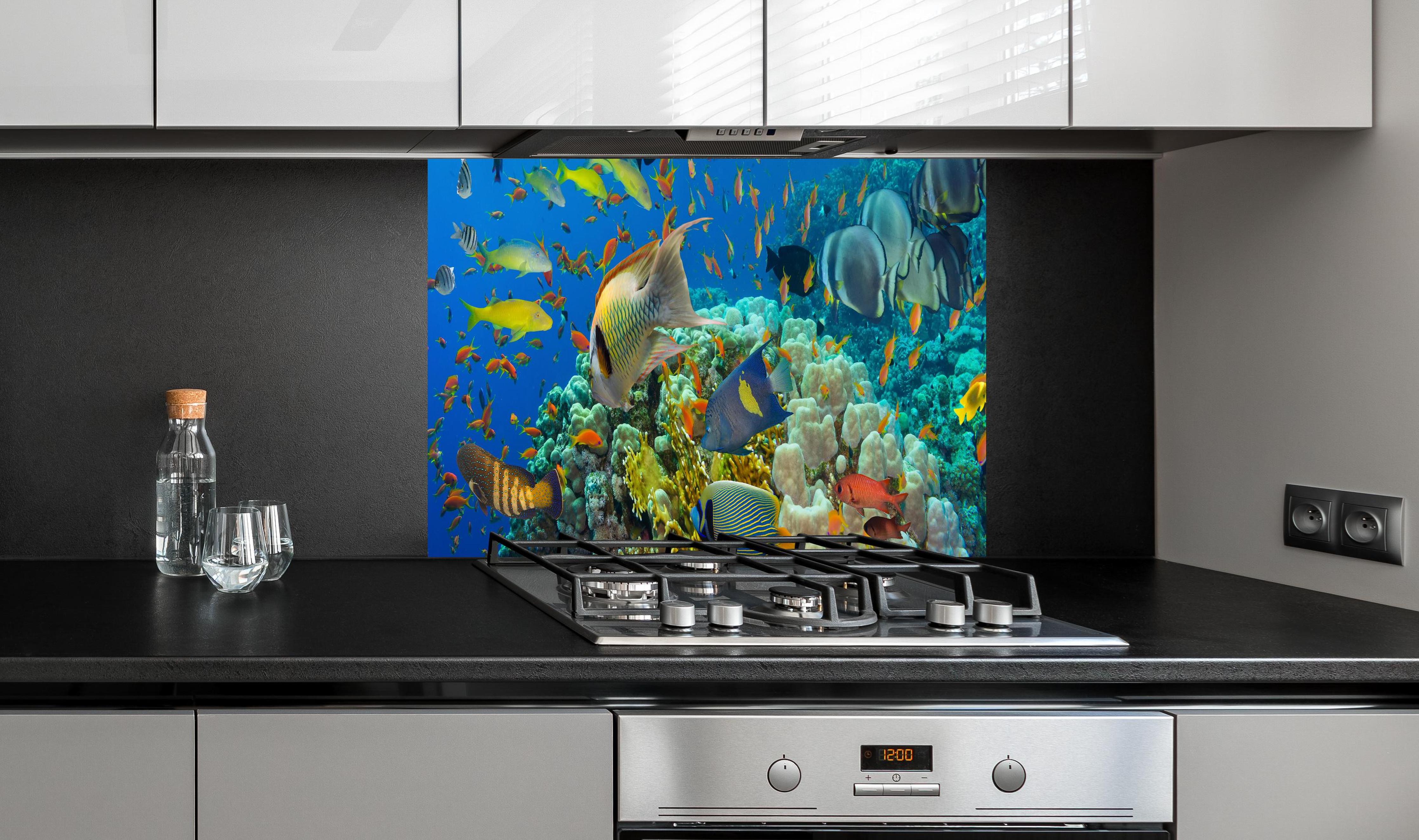 Spritzschutz - Lebendige Unterwasserwelt mit bunten Korallen hinter einem Cerankochfeld zwischen Holz-Kochutensilien
