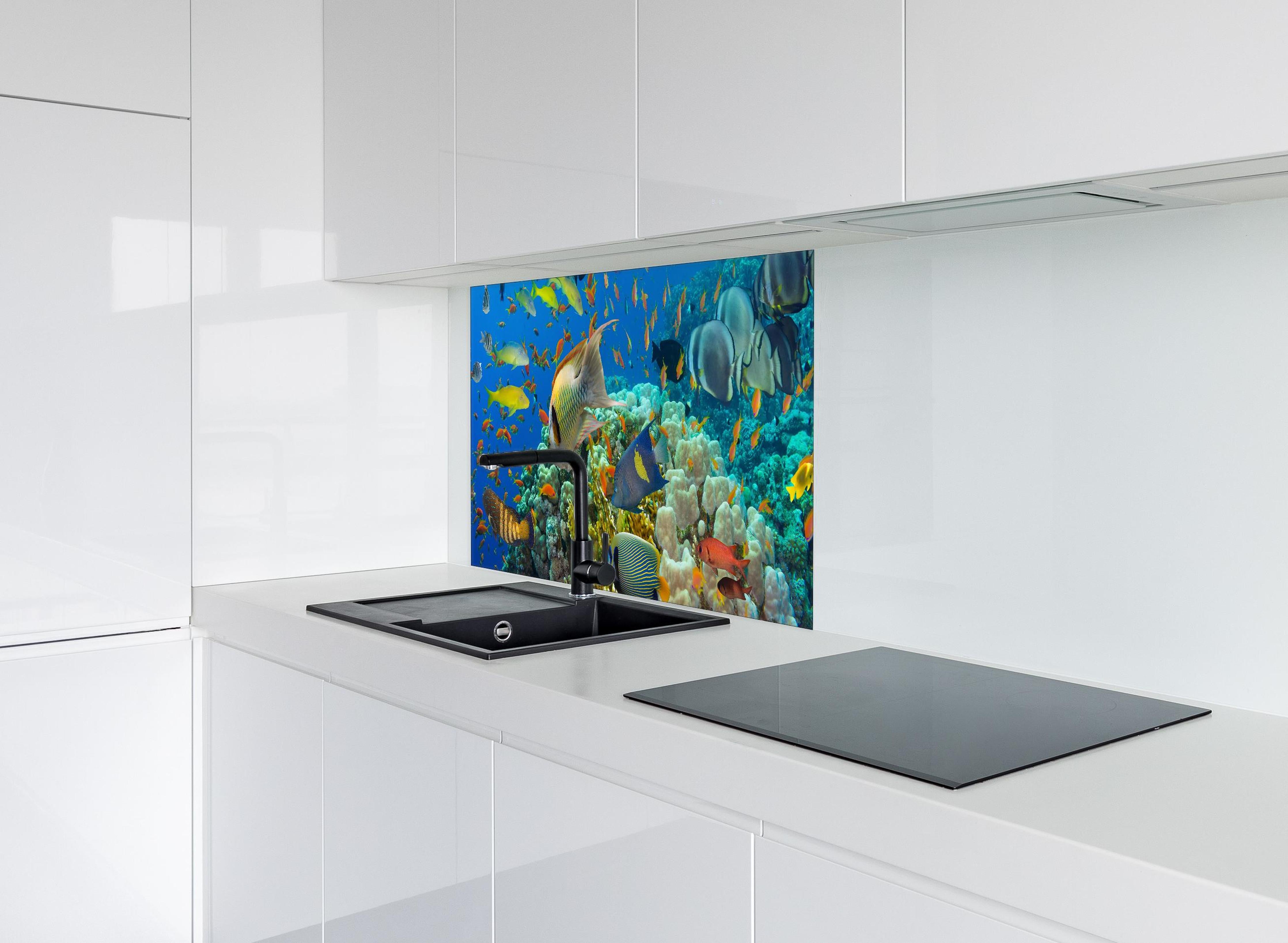 Spritzschutz - Lebendige Unterwasserwelt mit bunten Korallen hinter einem Cerankochfeld zwischen Holz-Kochutensilien
