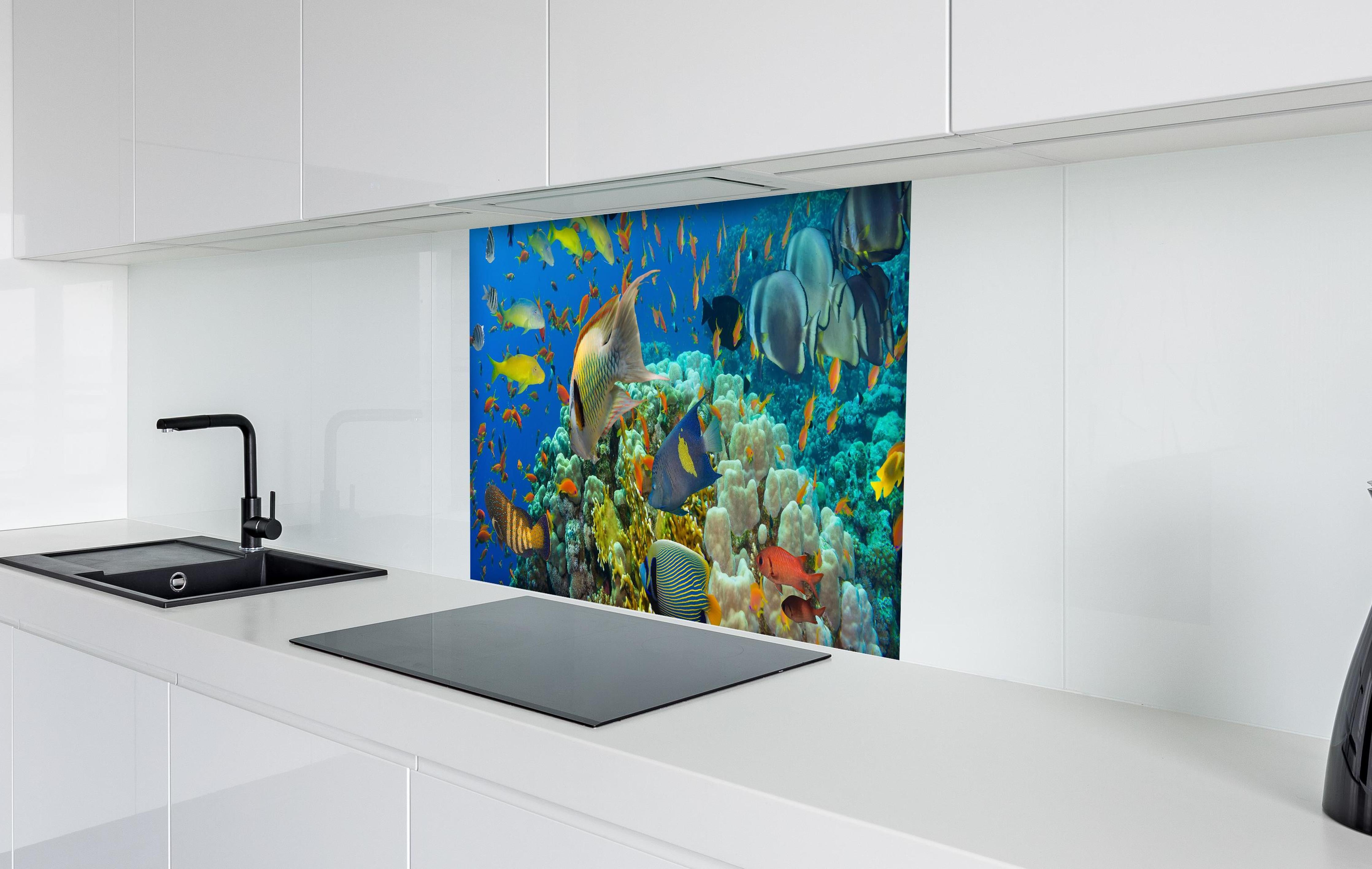 Spritzschutz - Lebendige Unterwasserwelt mit bunten Korallen hinter einem Cerankochfeld zwischen Holz-Kochutensilien
