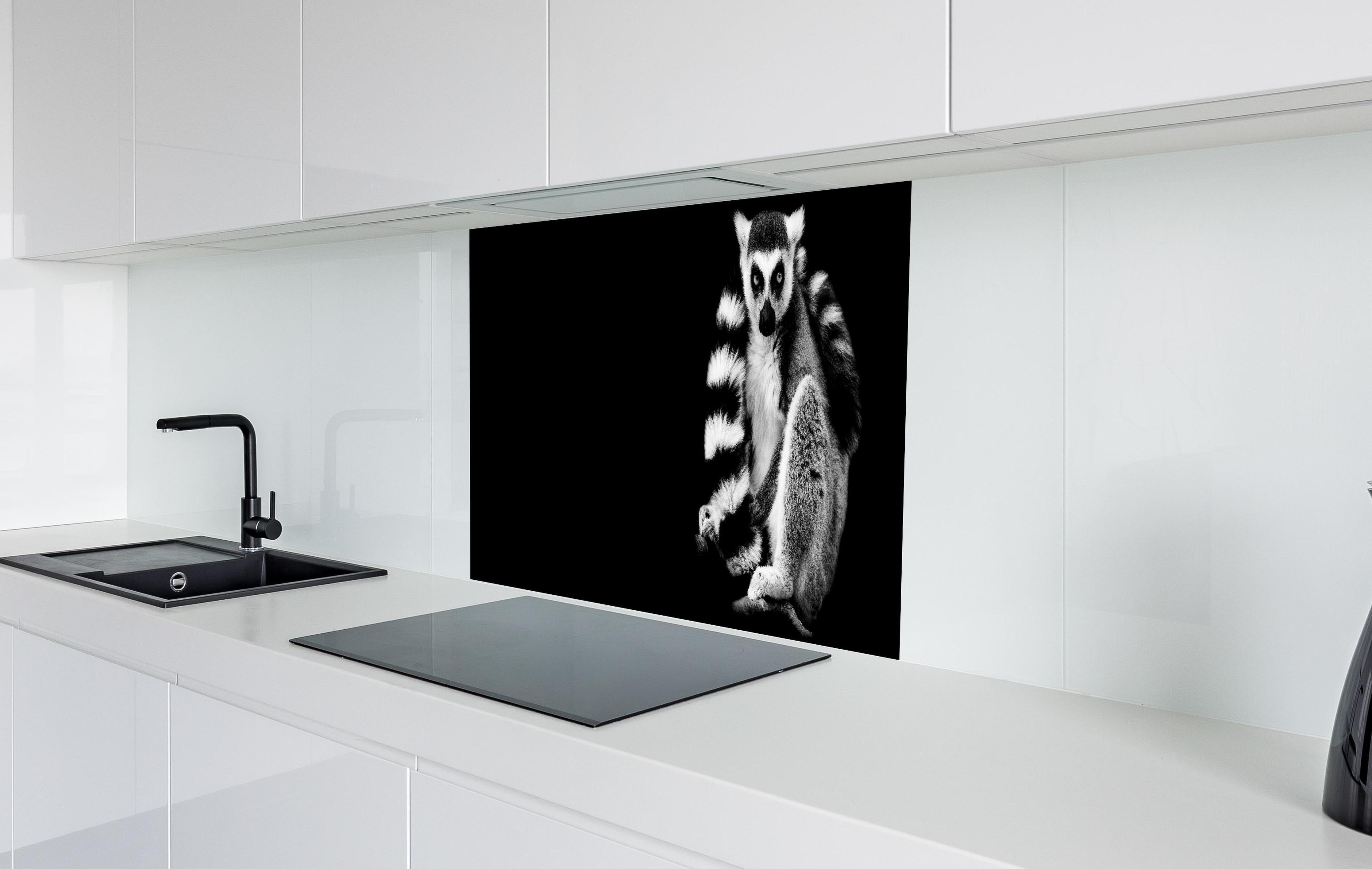 Spritzschutz - Lemur auf schwarzem Hintergrund hinter einem Cerankochfeld zwischen Holz-Kochutensilien
