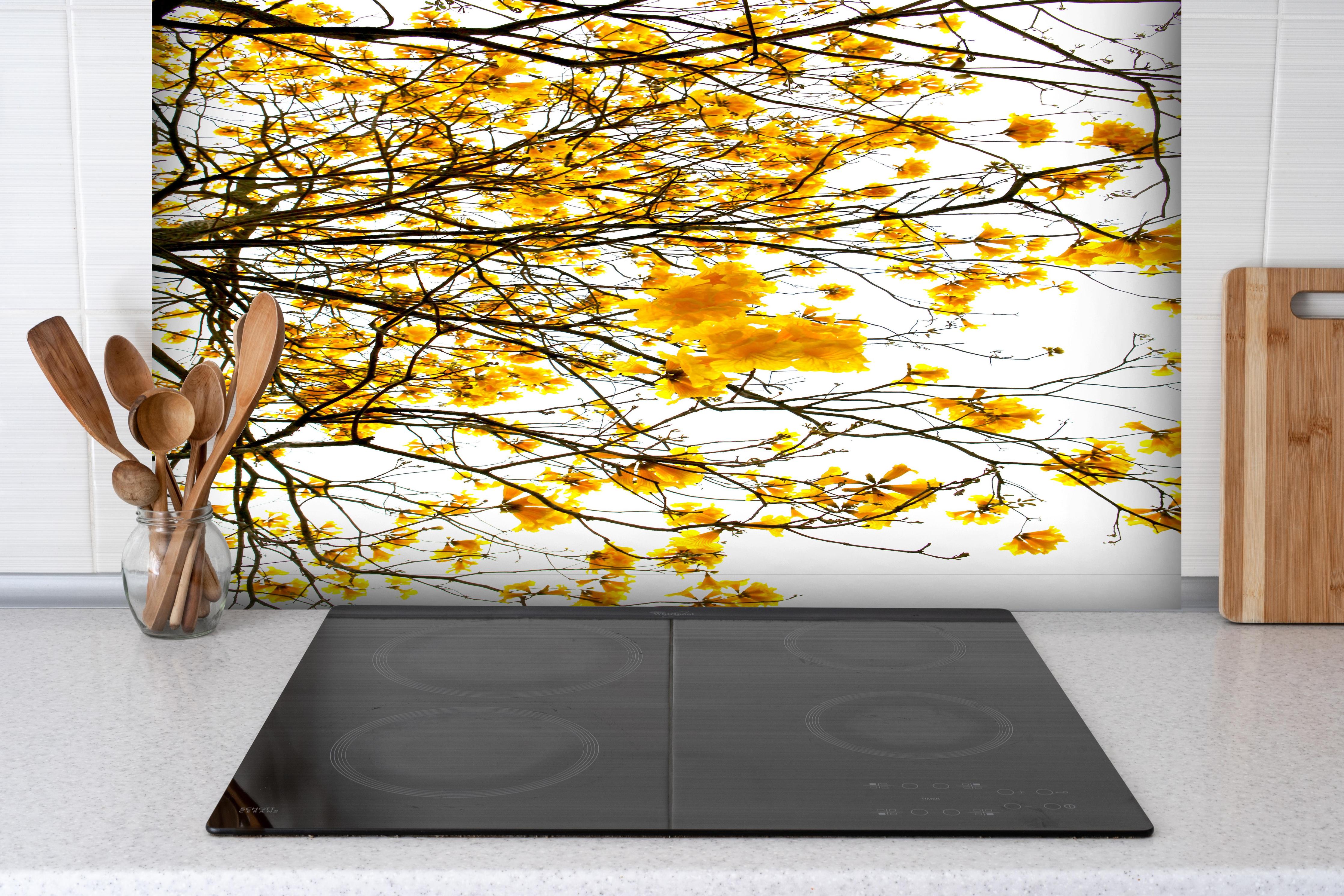 Spritzschutz - Leuchtend Gelbe Sommerbaumkrone hinter einem Cerankochfeld zwischen Holz-Kochutensilien
