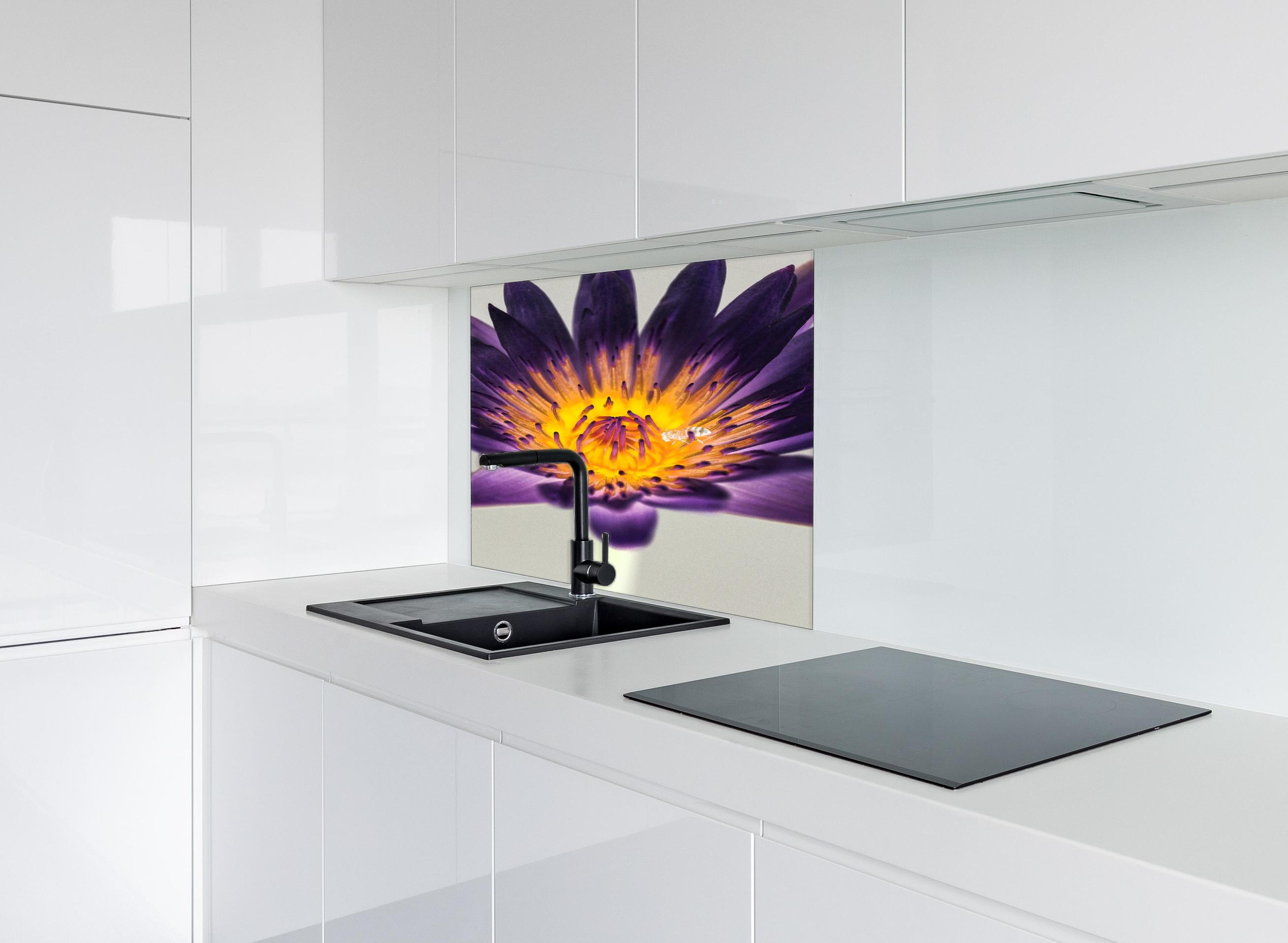 Spritzschutz - Leuchtende Lila Wasserlilie mit gelbem Kern Makro hinter einem Cerankochfeld zwischen Holz-Kochutensilien
