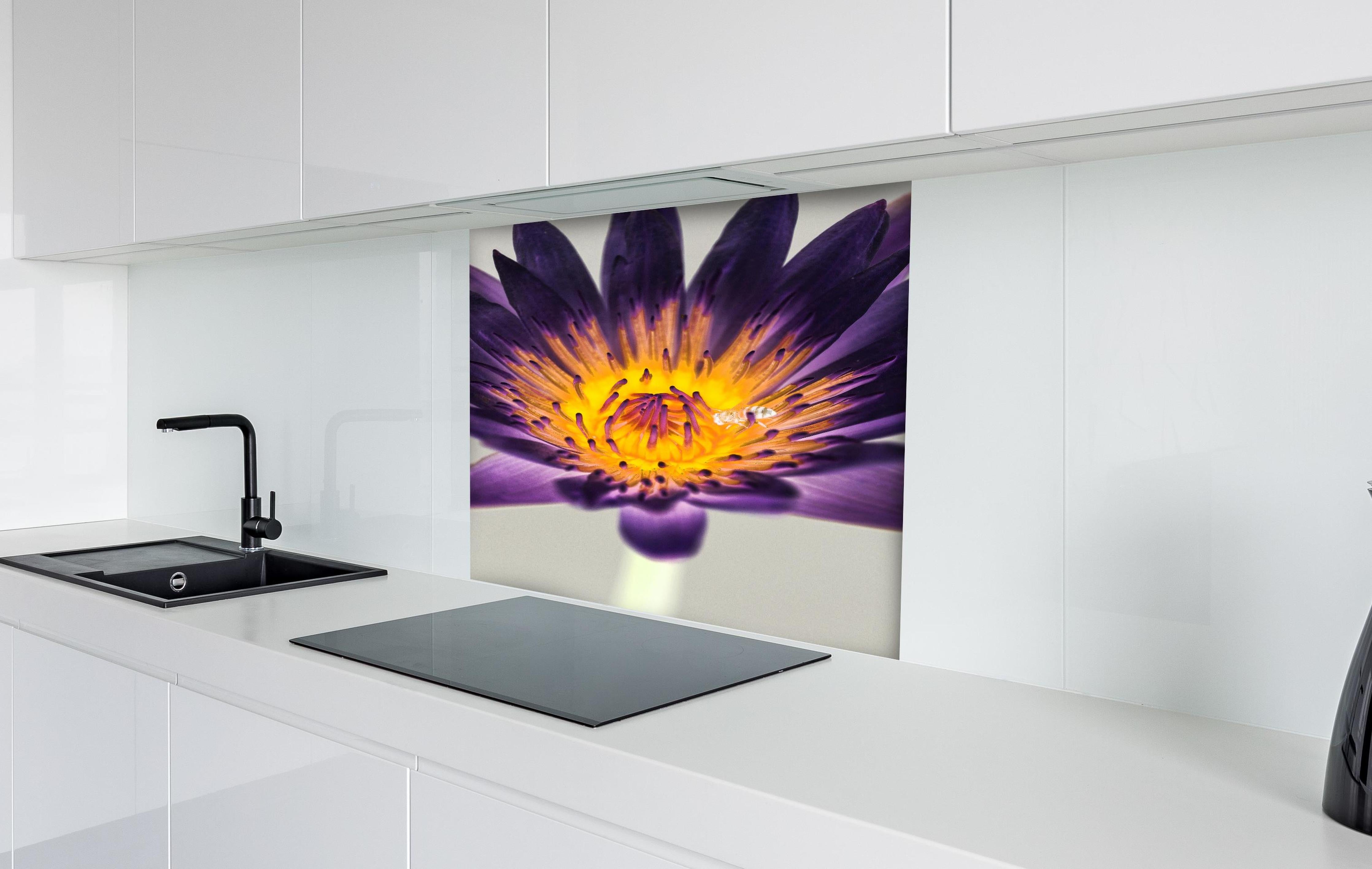 Spritzschutz - Leuchtende Lila Wasserlilie mit gelbem Kern Makro hinter einem Cerankochfeld zwischen Holz-Kochutensilien
