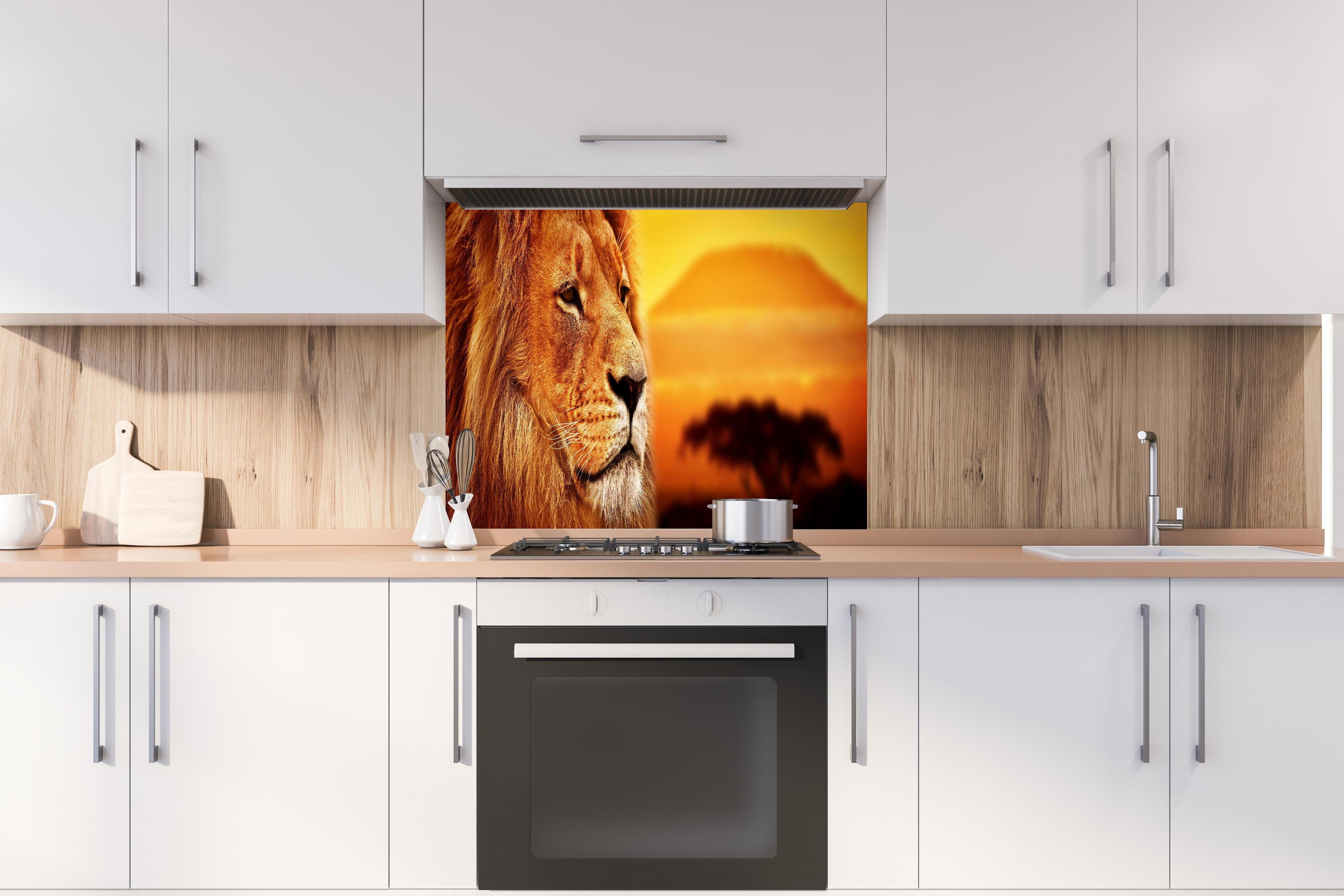 Spritzschutz - Löwenporträt in der Savanne hinter einem Cerankochfeld zwischen Holz-Kochutensilien
