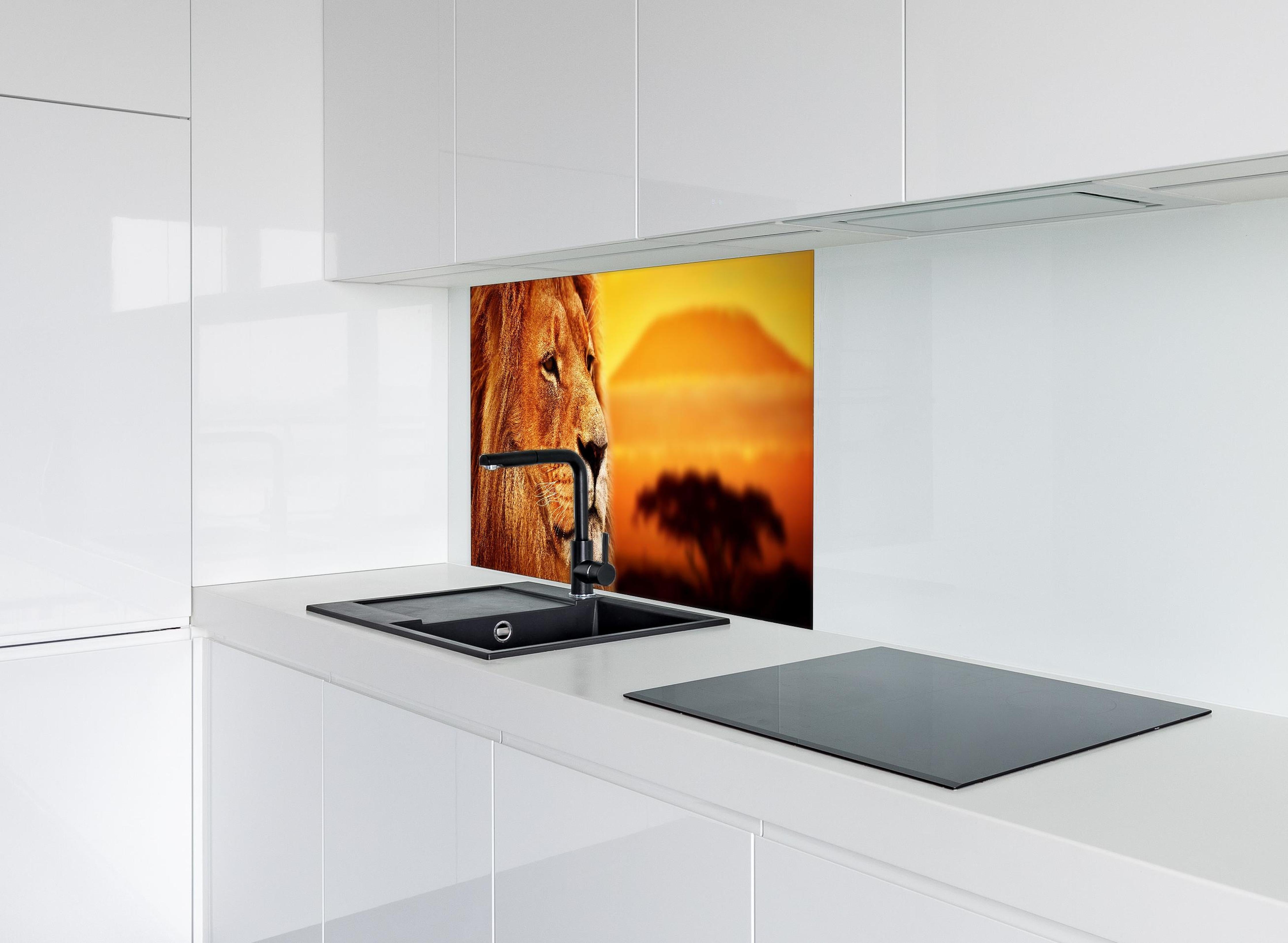 Spritzschutz - Löwenporträt in der Savanne hinter einem Cerankochfeld zwischen Holz-Kochutensilien
