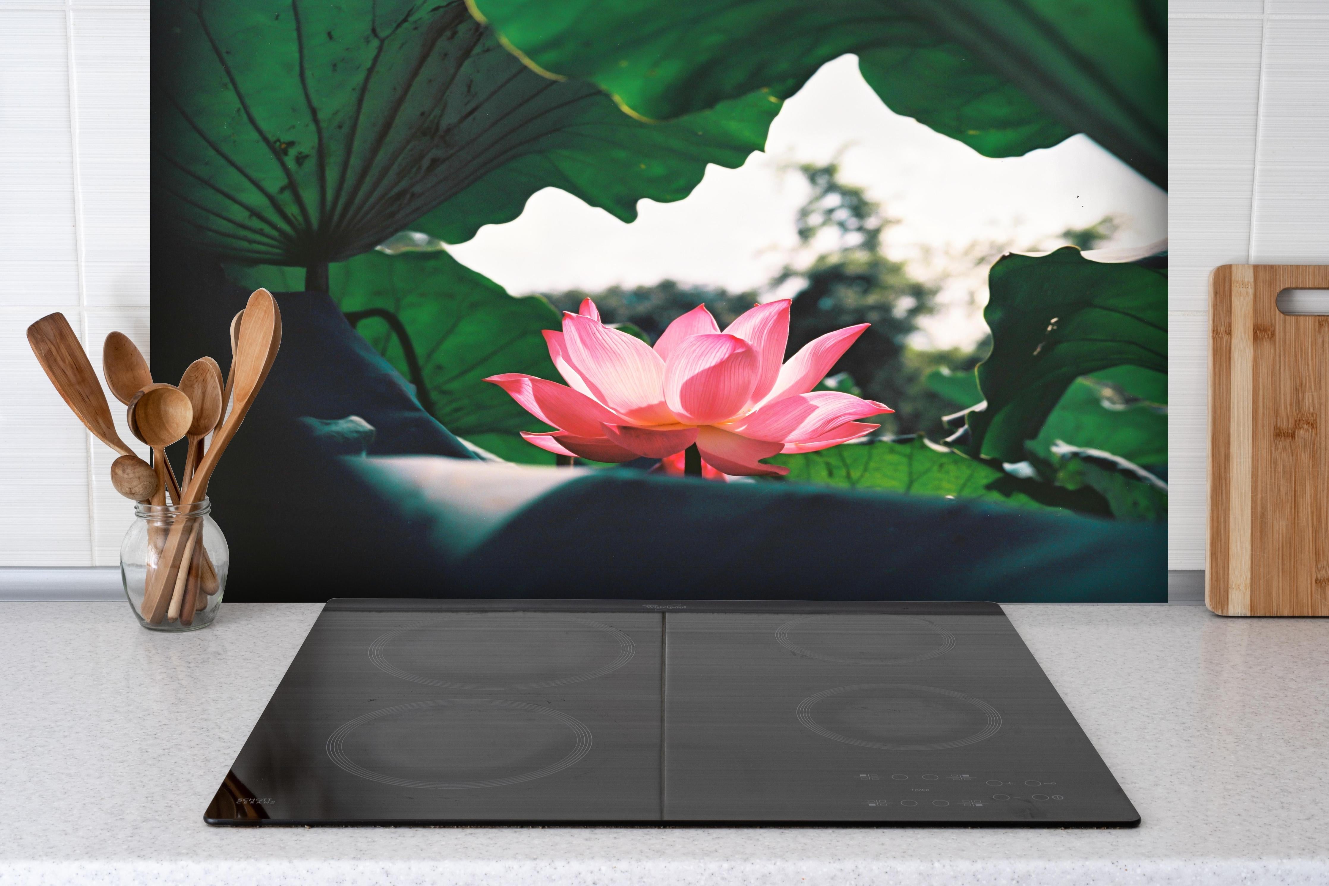 Spritzschutz - Lotosblume inmitten von Blättern hinter einem Cerankochfeld zwischen Holz-Kochutensilien
