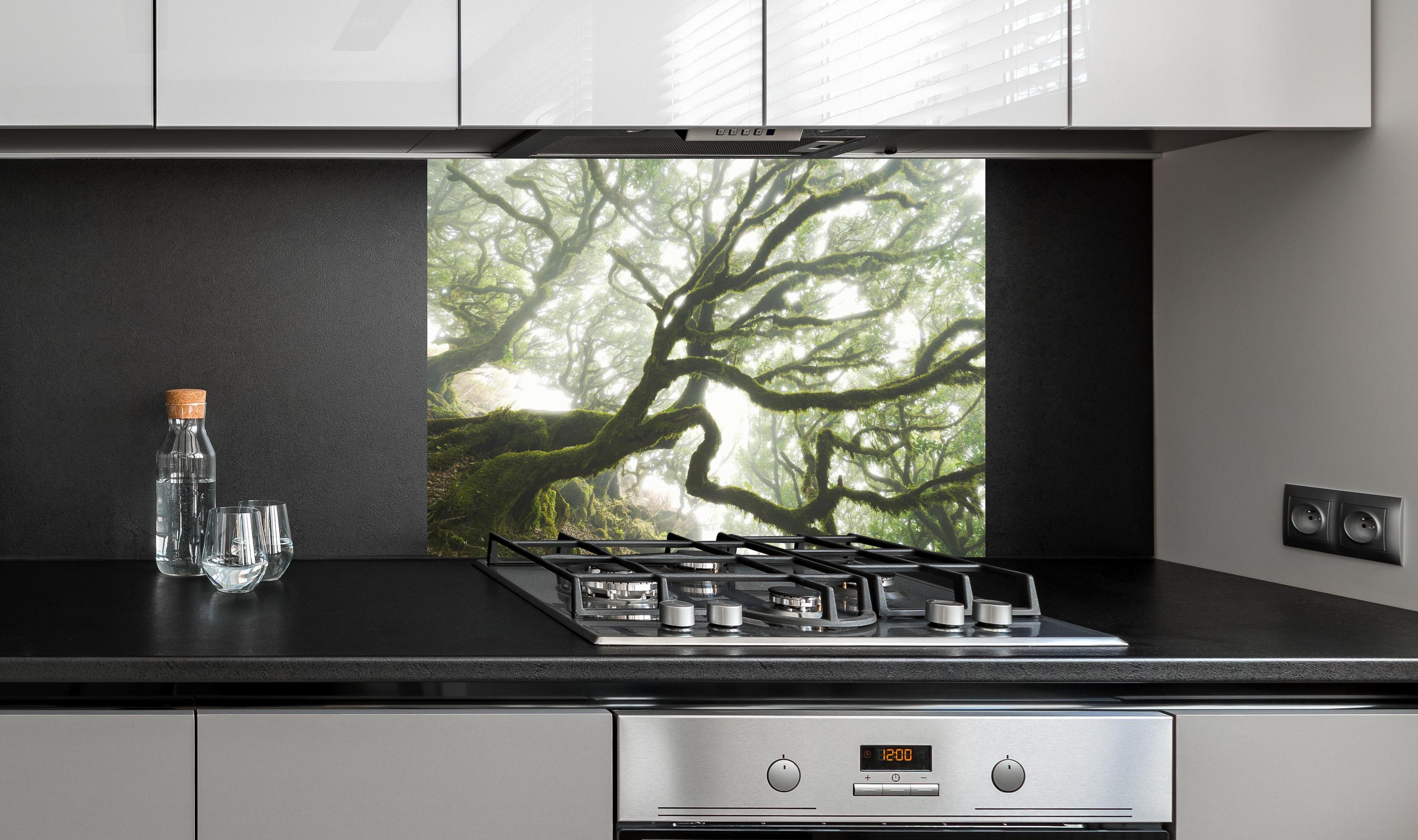 Spritzschutz - Magischer Baum hinter einem Cerankochfeld zwischen Holz-Kochutensilien
