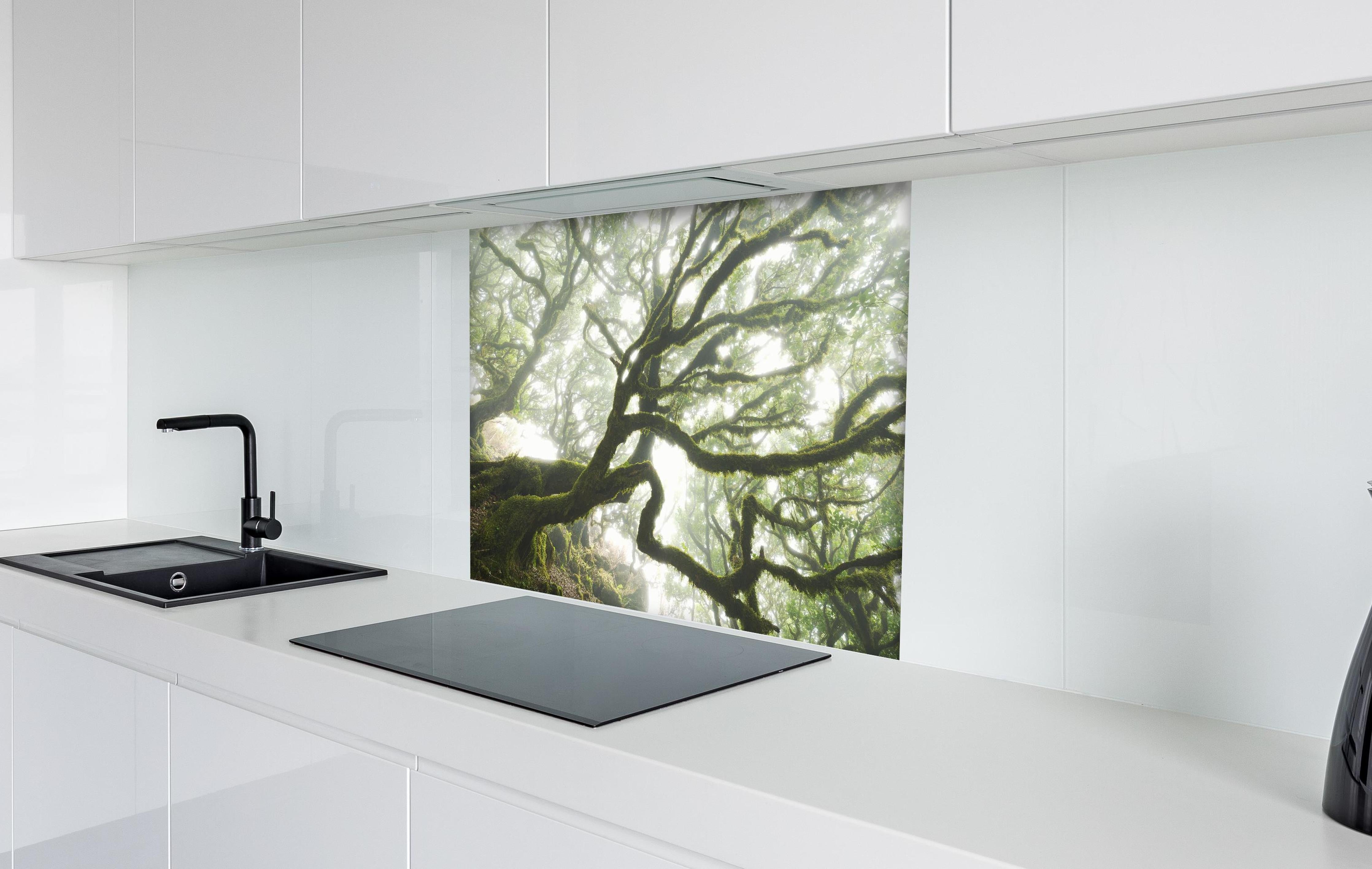 Spritzschutz - Magischer Baum hinter einem Cerankochfeld zwischen Holz-Kochutensilien
