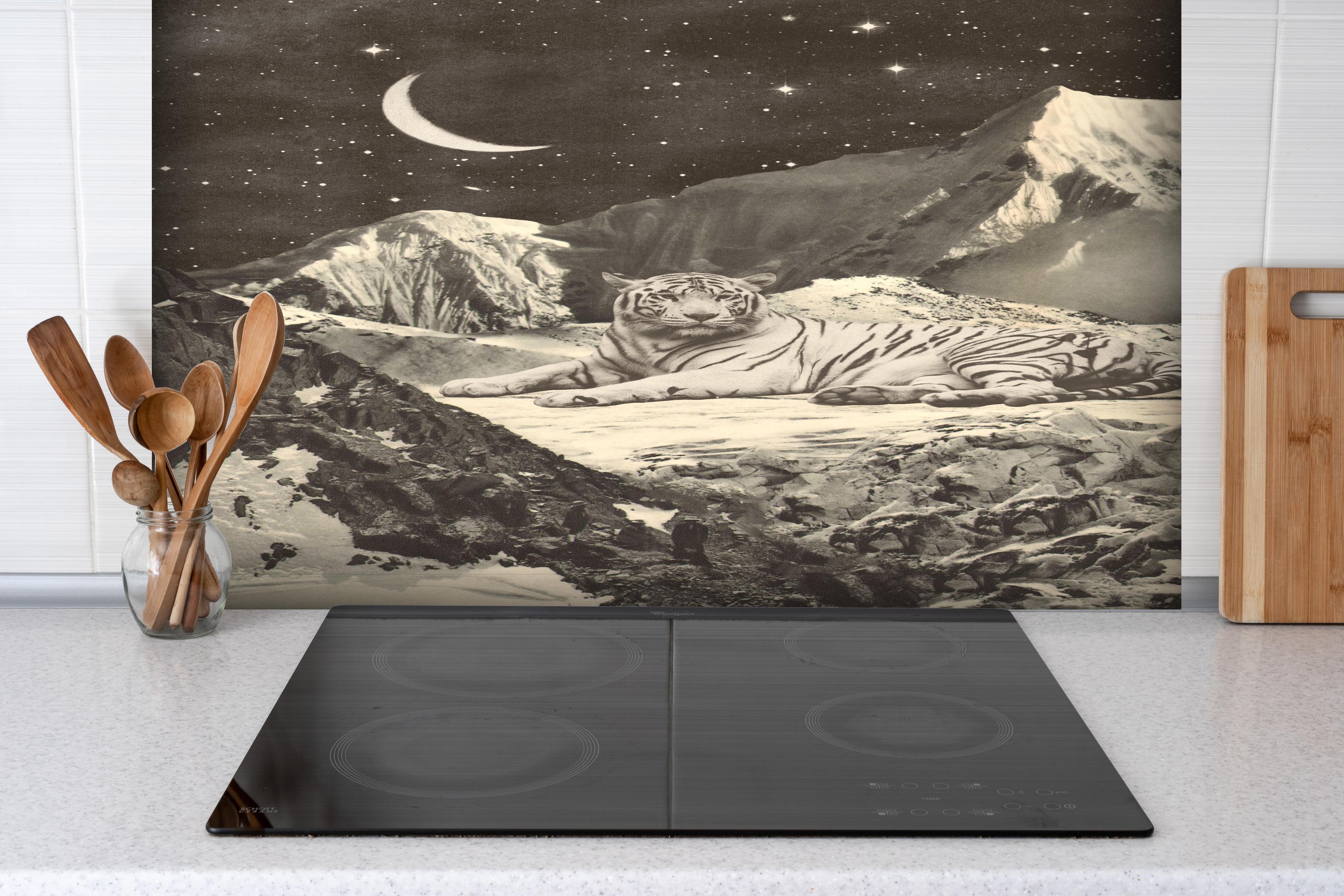 Spritzschutz - Majestätischer weißer Tiger, Mond & Sterne hinter einem Cerankochfeld zwischen Holz-Kochutensilien
