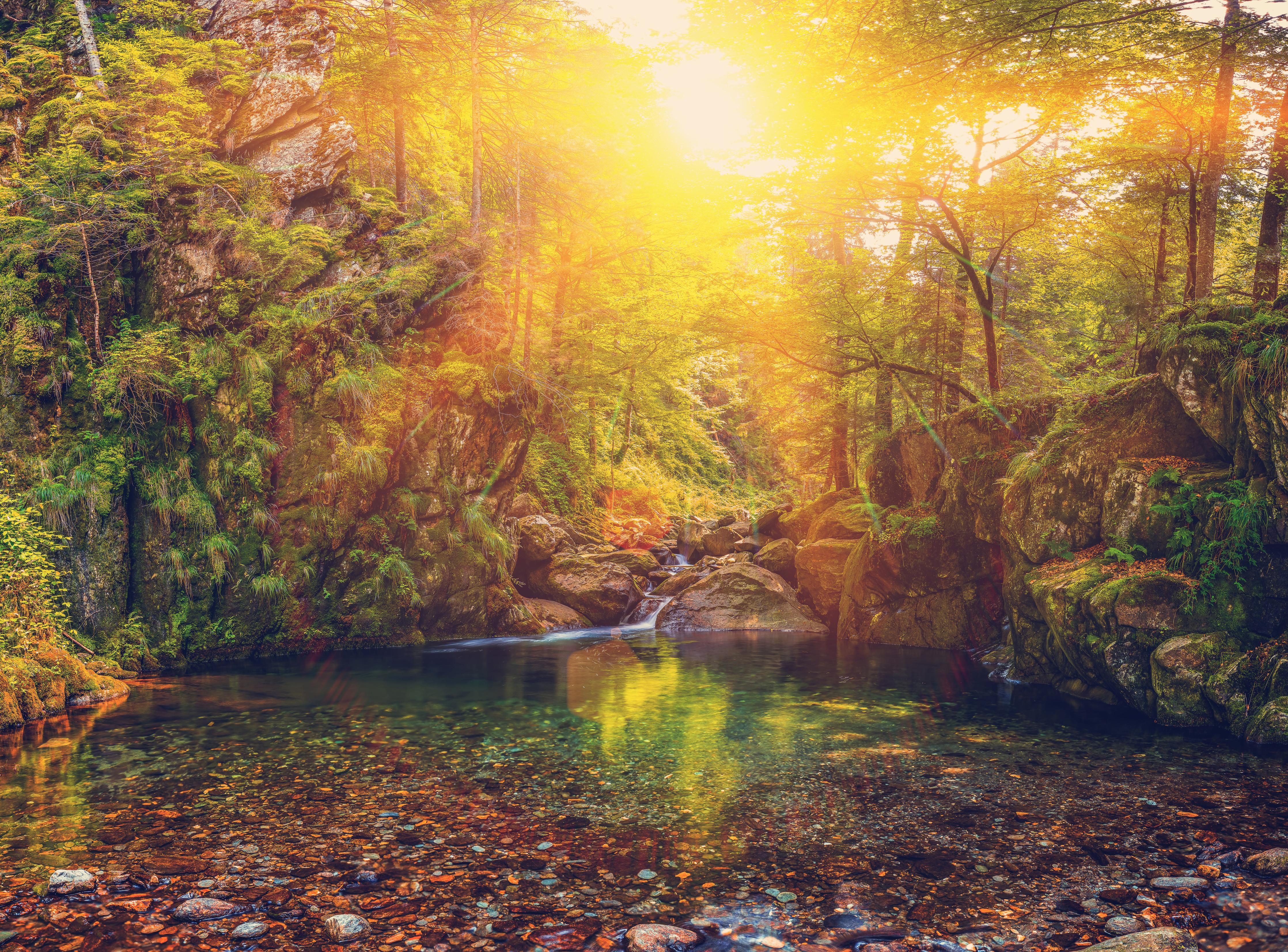 Spritzschutz-Malerischer Sonnenuntergang am Waldsee