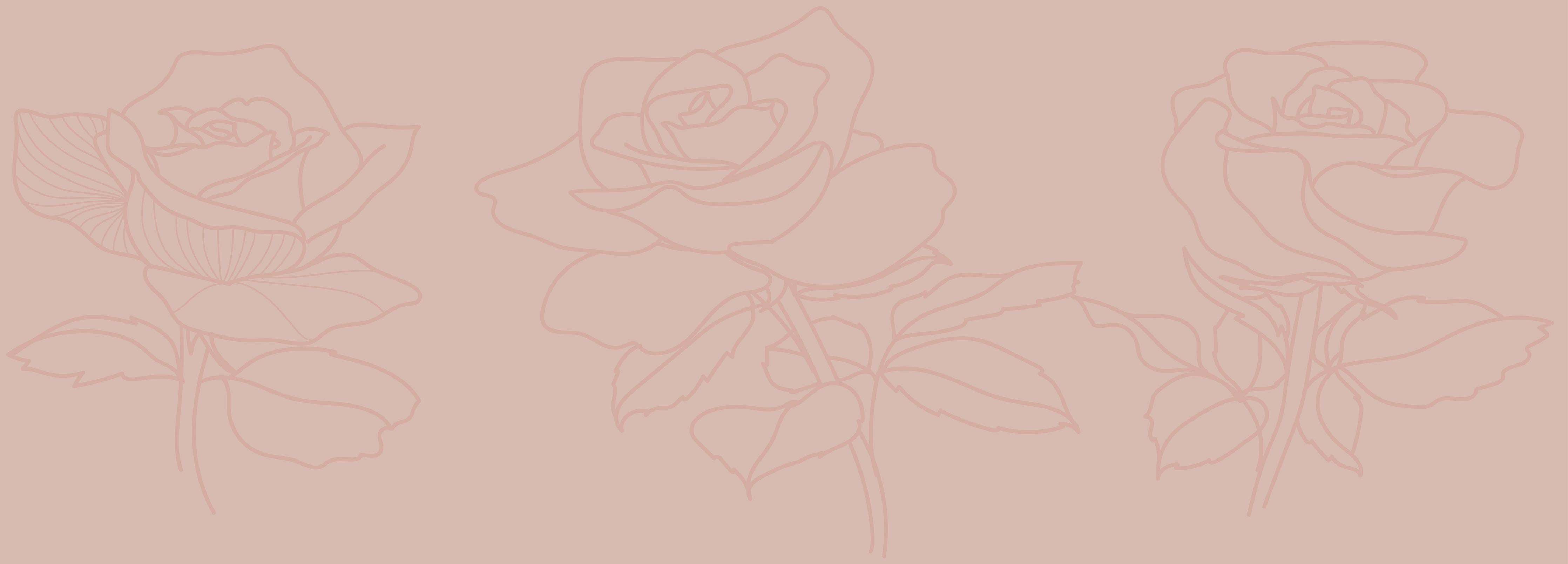 Spritzschutz-Minimalistische Rosa Linienrosen Illustration