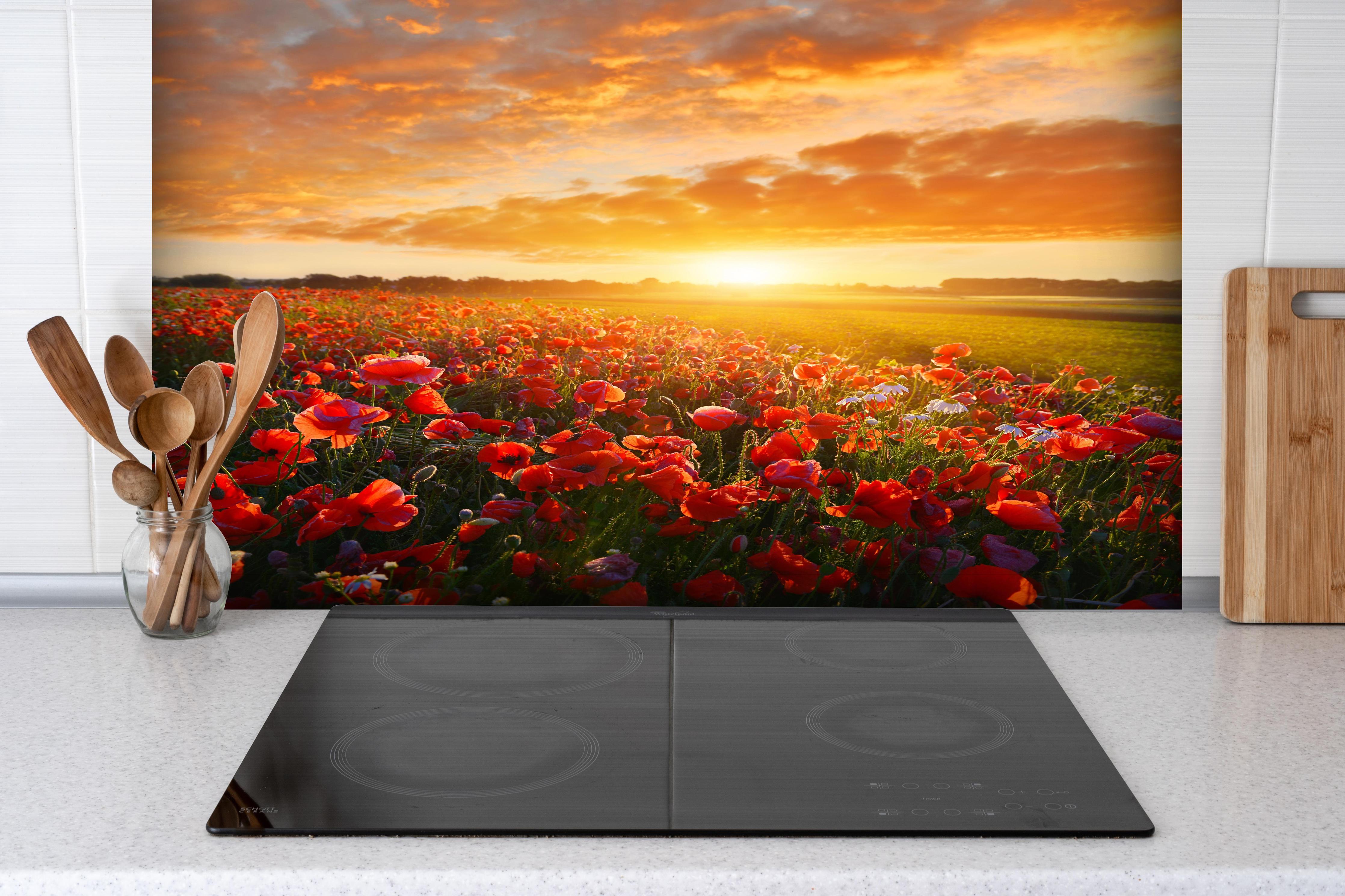 Spritzschutz - Mohnblüten bei Sonnenaufgang in Kassel hinter einem Cerankochfeld zwischen Holz-Kochutensilien
