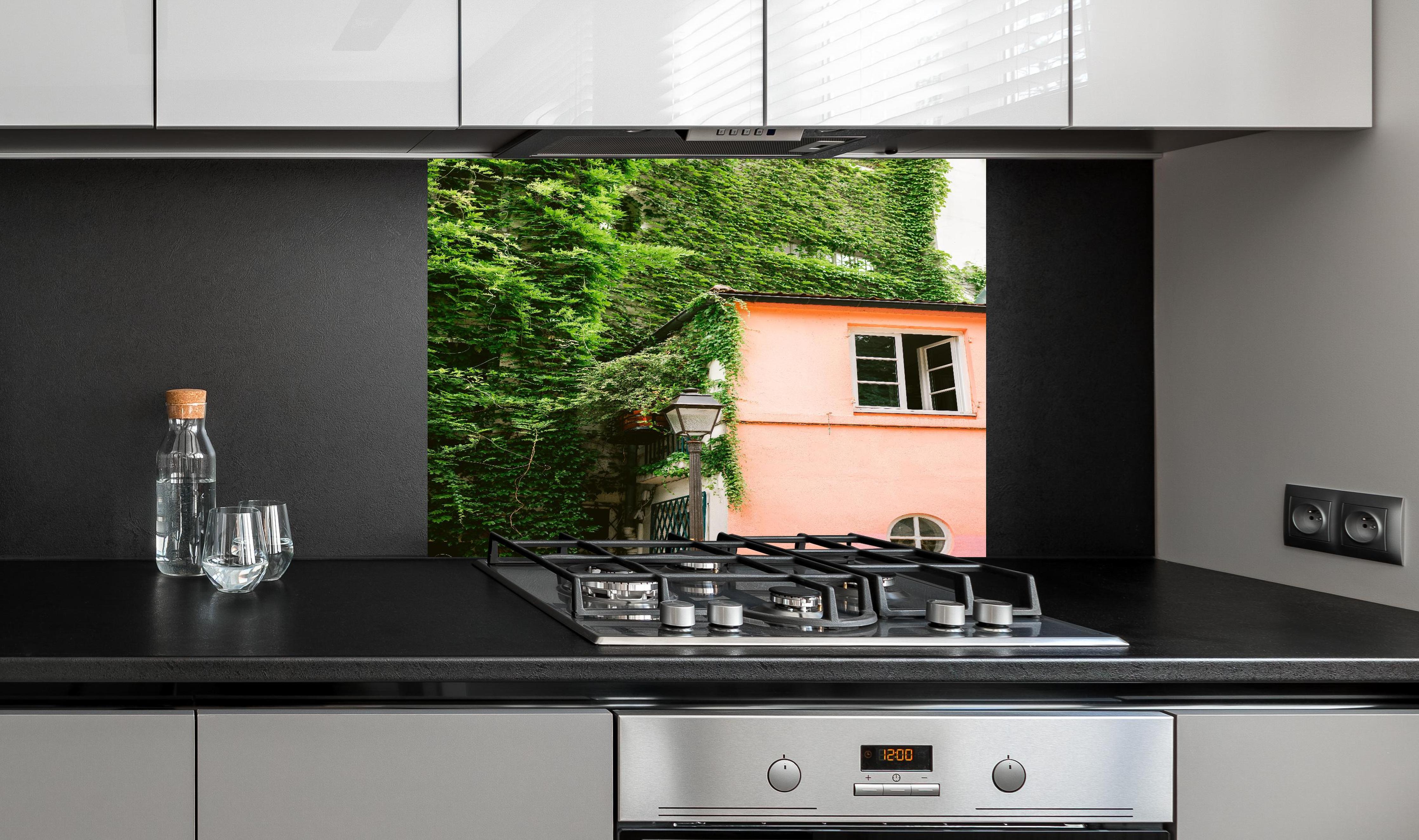 Spritzschutz - Montmartre Haus mit grüner Bepflanzung hinter einem Cerankochfeld zwischen Holz-Kochutensilien
