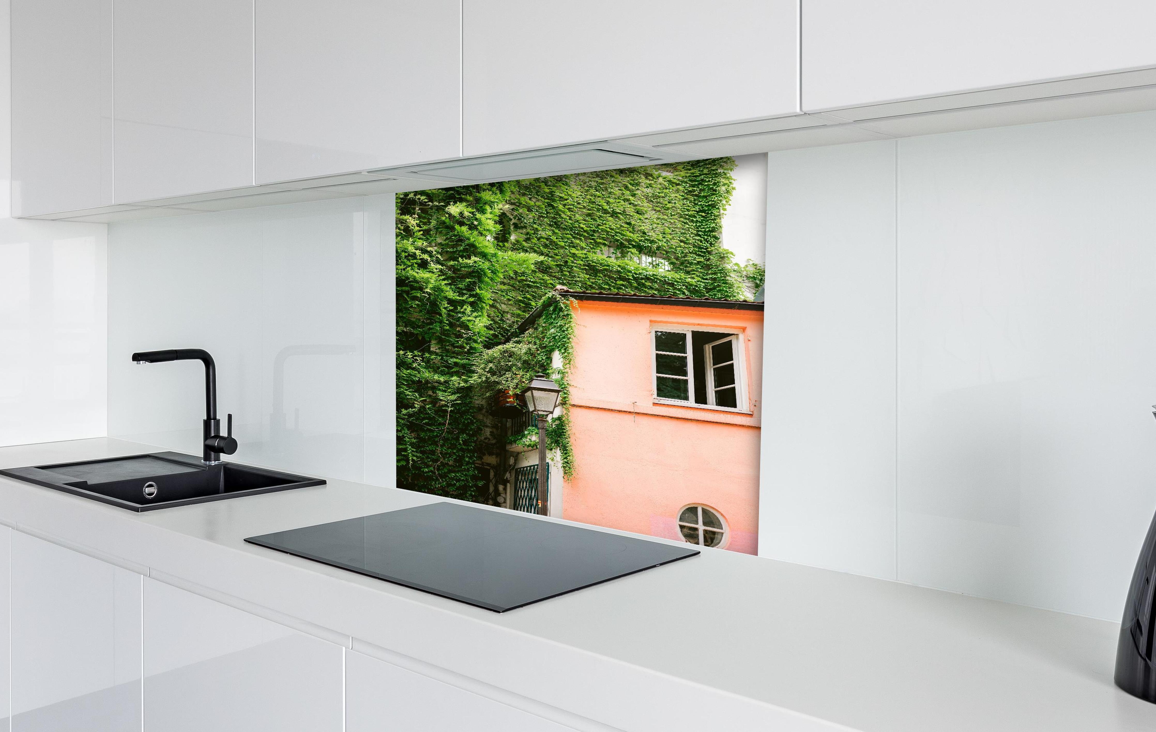 Spritzschutz - Montmartre Haus mit grüner Bepflanzung hinter einem Cerankochfeld zwischen Holz-Kochutensilien
