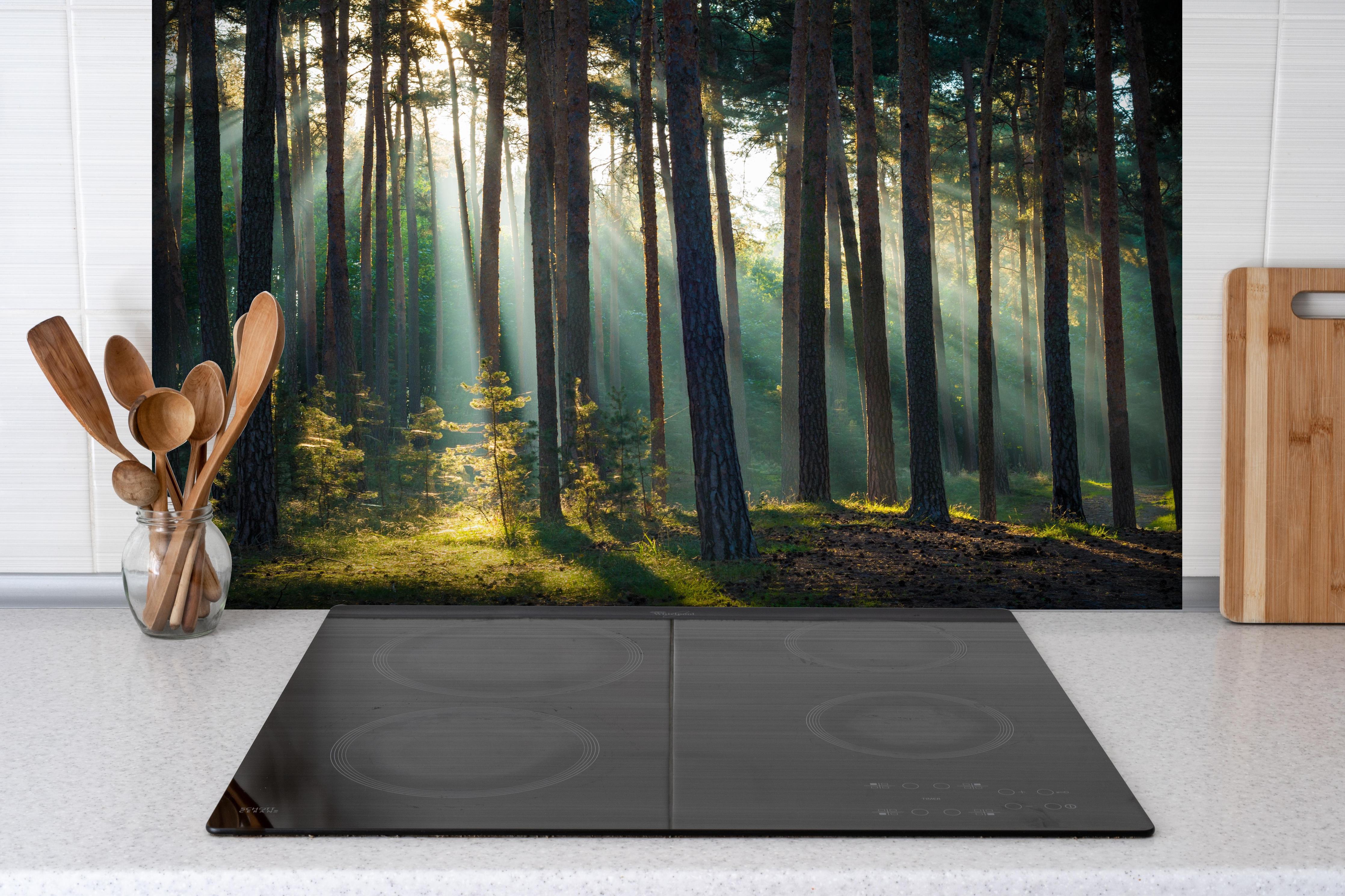 Spritzschutz - Morgenlicht im herbstlichen Wald hinter einem Cerankochfeld zwischen Holz-Kochutensilien
