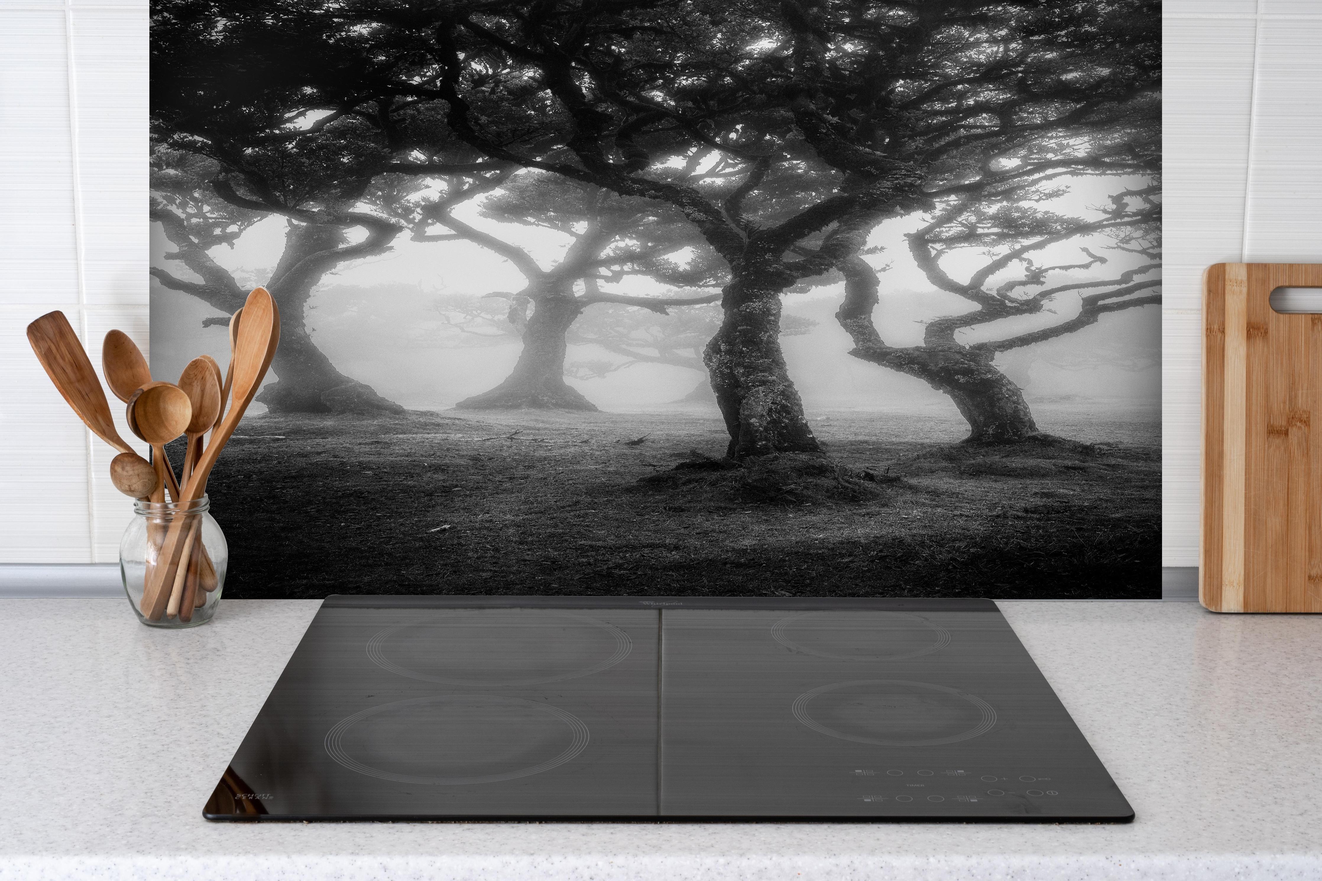 Spritzschutz - Mystischer Fanal Nebelwald Monochrom hinter einem Cerankochfeld zwischen Holz-Kochutensilien
