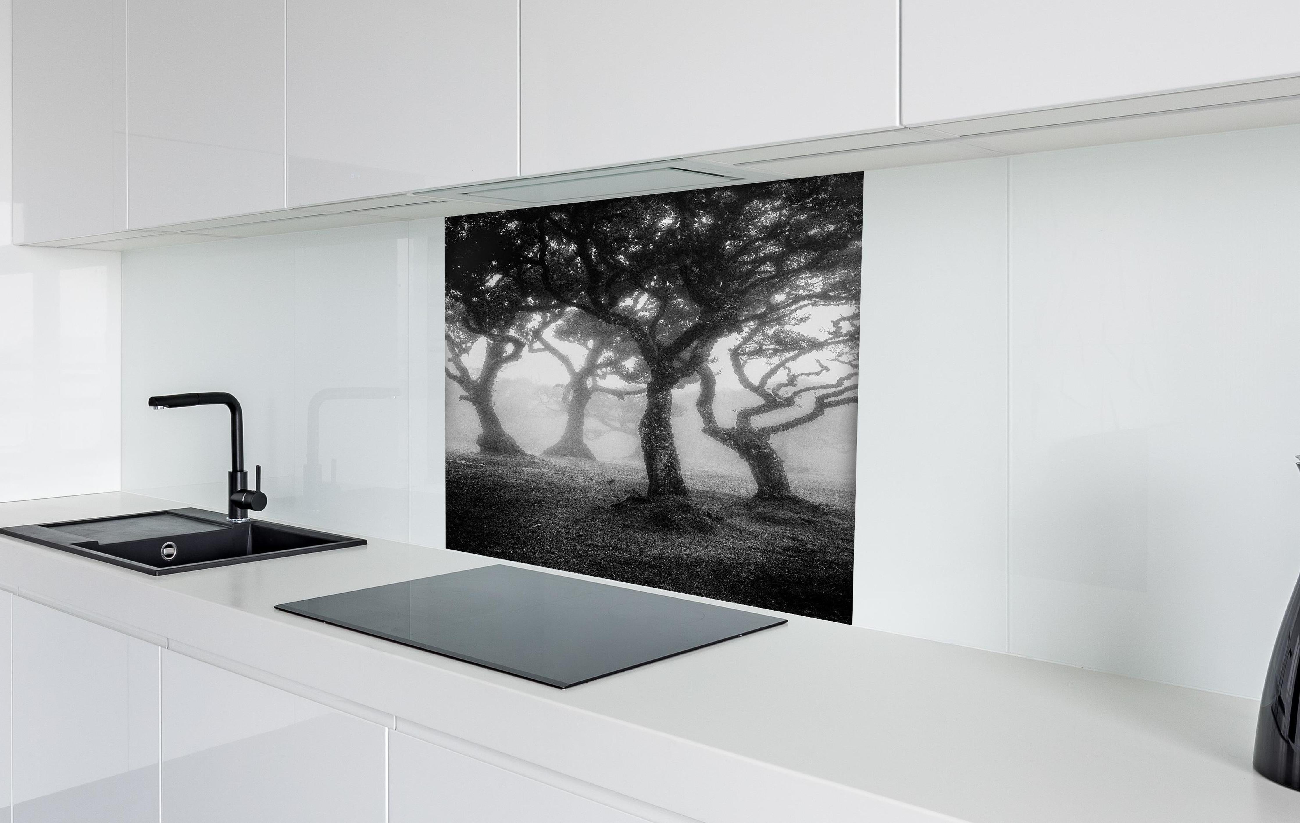 Spritzschutz - Mystischer Fanal Nebelwald Monochrom hinter einem Cerankochfeld zwischen Holz-Kochutensilien
