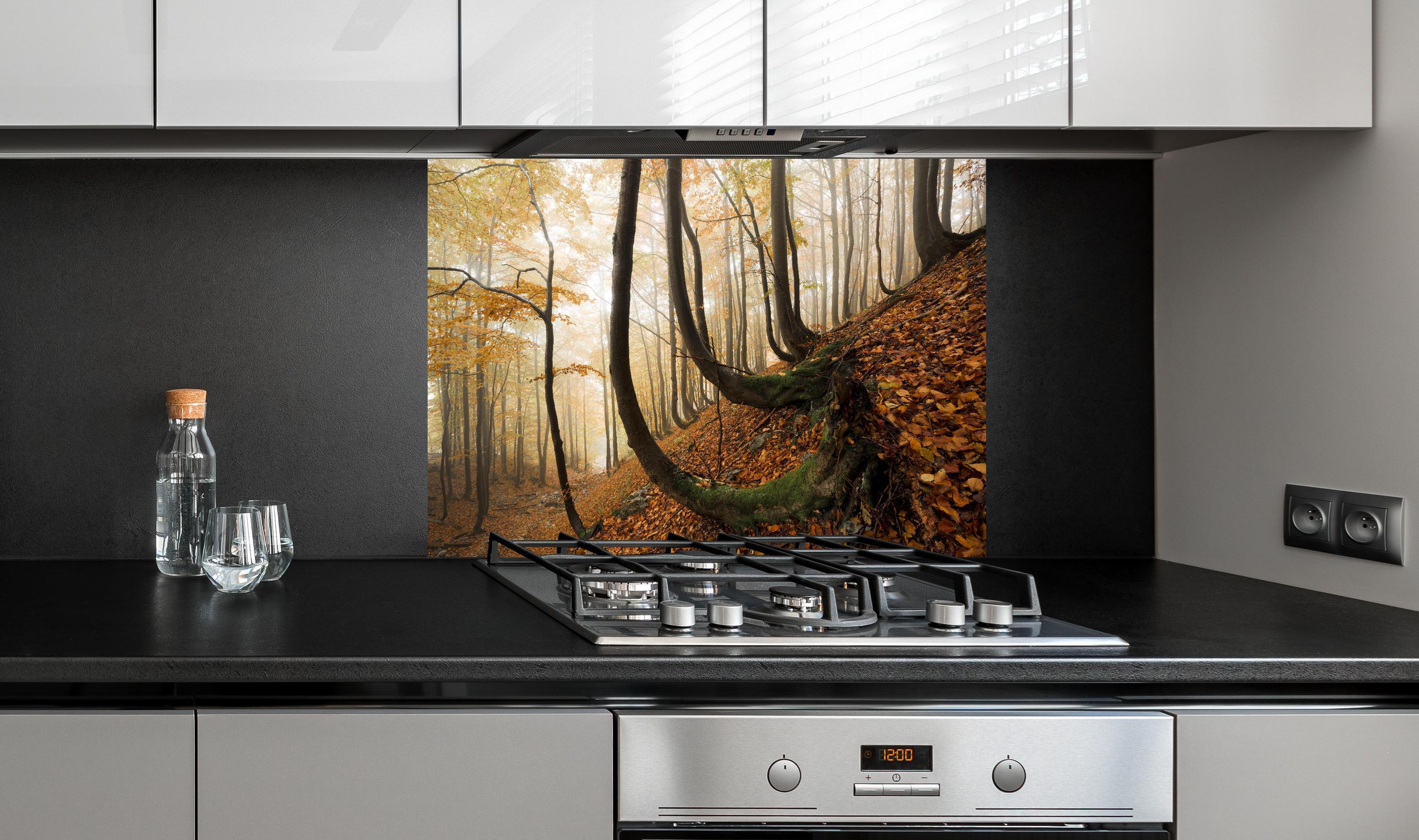 Spritzschutz - Mystischer Wald im Herbst hinter einem Cerankochfeld zwischen Holz-Kochutensilien
