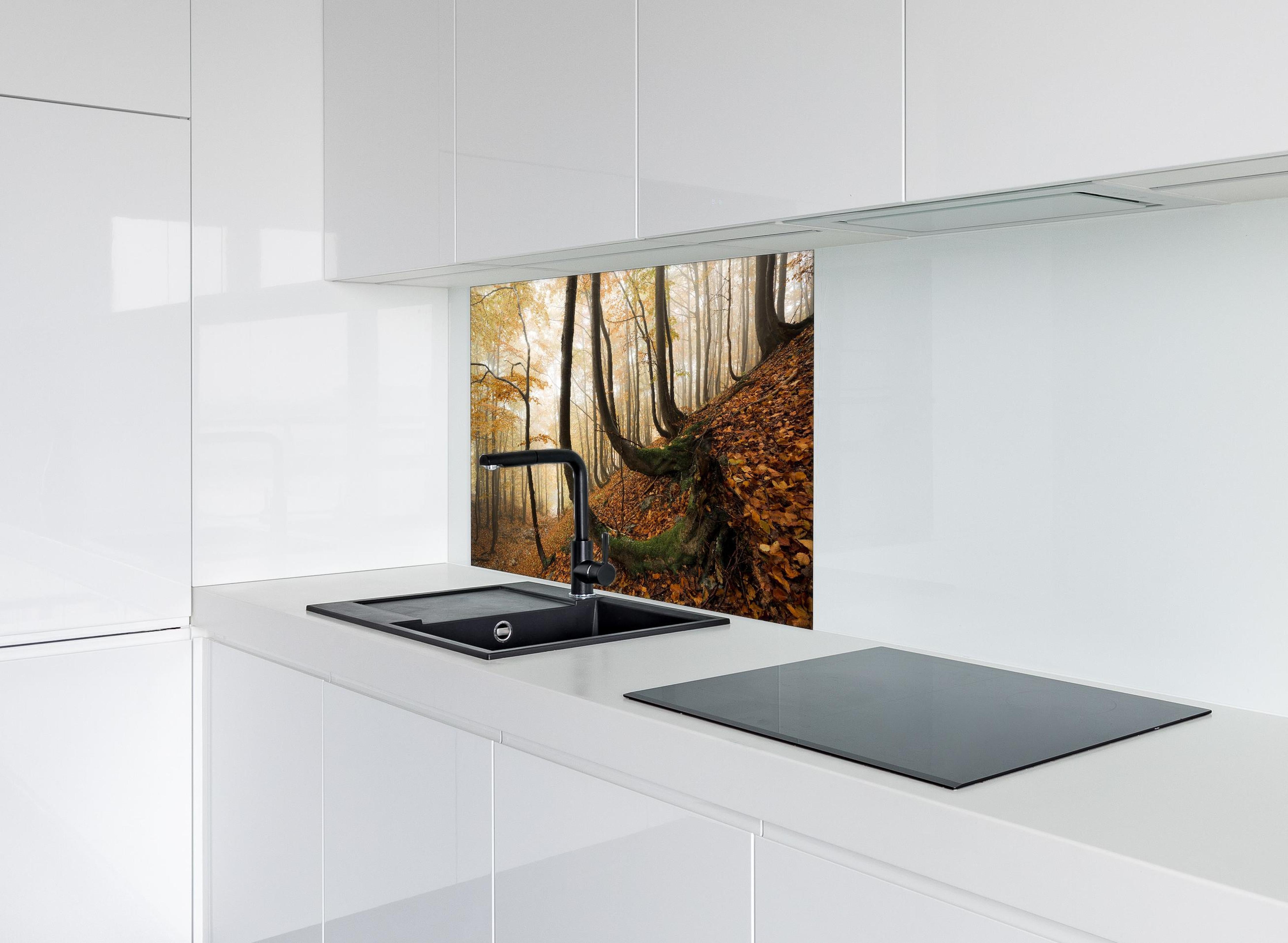 Spritzschutz - Mystischer Wald im Herbst hinter einem Cerankochfeld zwischen Holz-Kochutensilien
