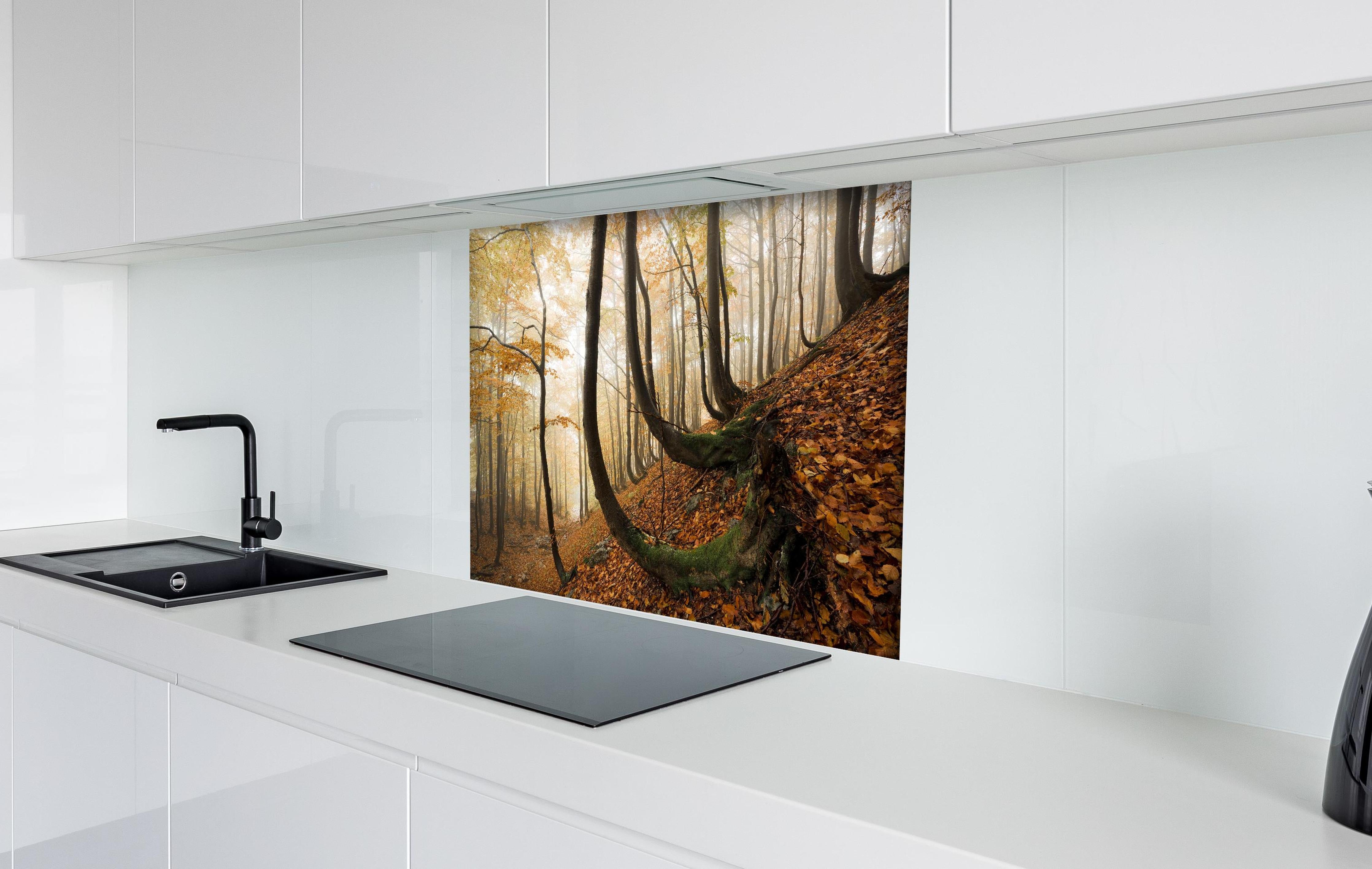 Spritzschutz - Mystischer Wald im Herbst hinter einem Cerankochfeld zwischen Holz-Kochutensilien
