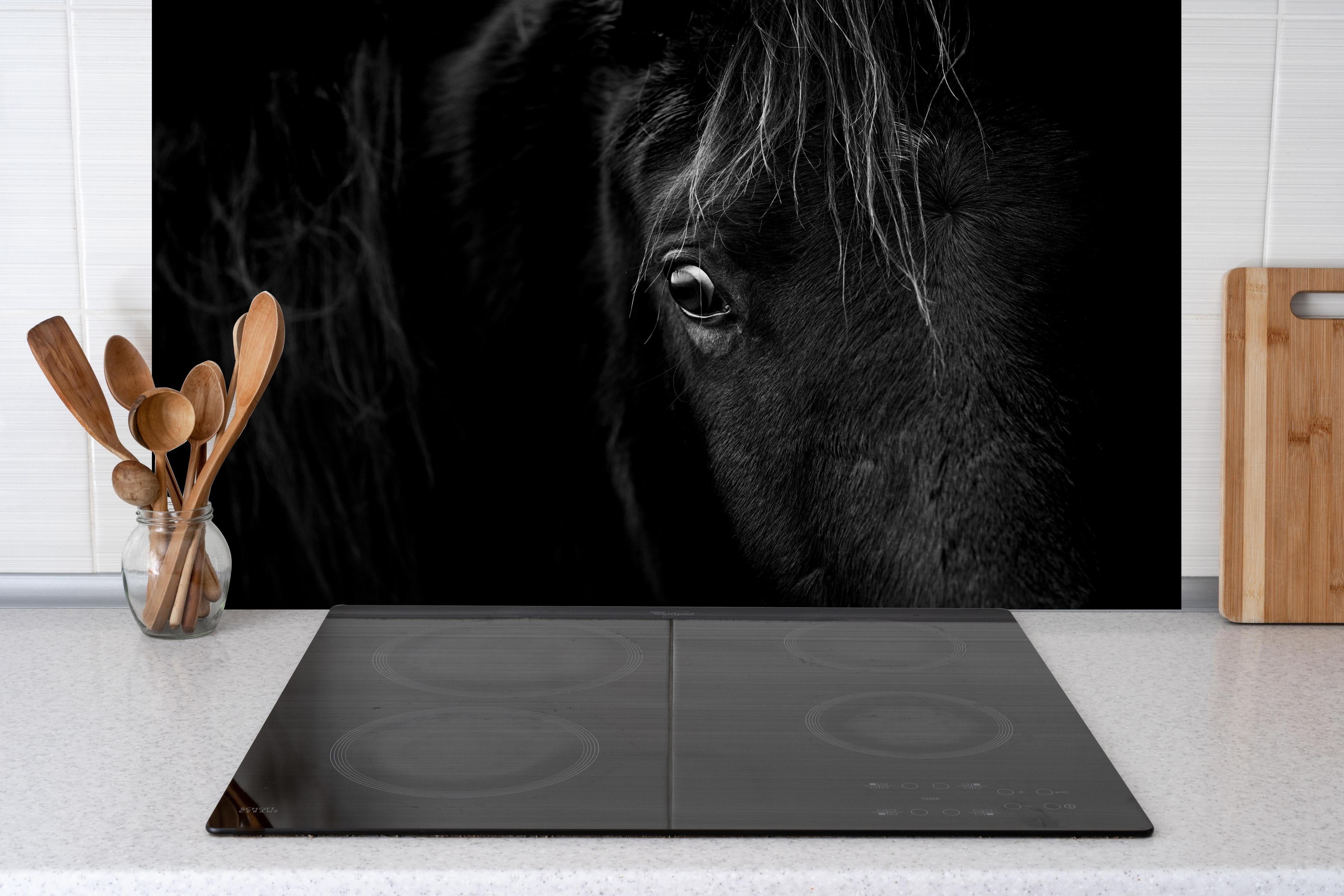 Spritzschutz - Nahaufnahme - Pferdekopf hinter einem Cerankochfeld zwischen Holz-Kochutensilien
