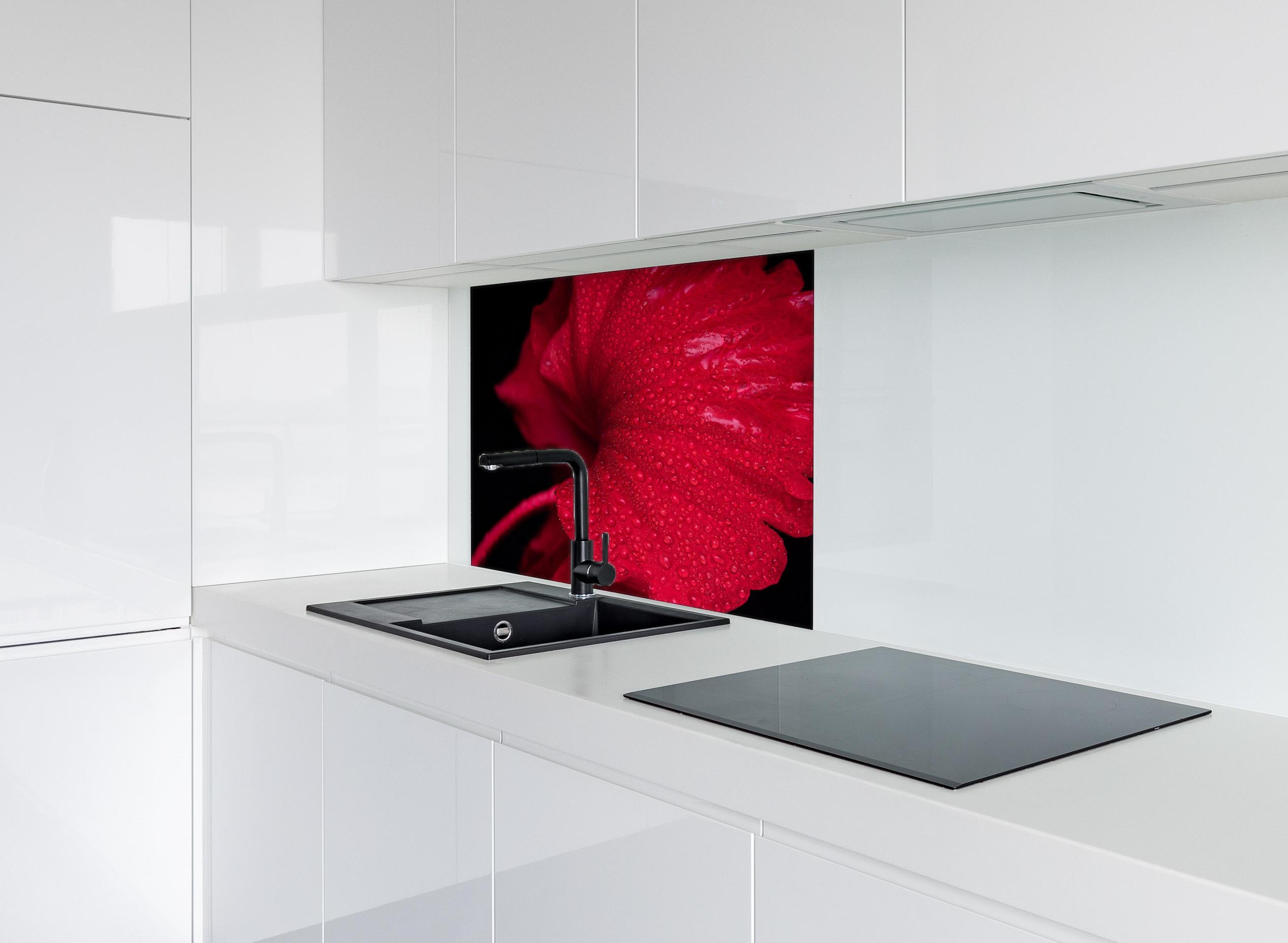 Spritzschutz - Nahaufnahme von rötlicher Frühlingsblume mit Regentropfen hinter einem Cerankochfeld zwischen Holz-Kochutensilien
