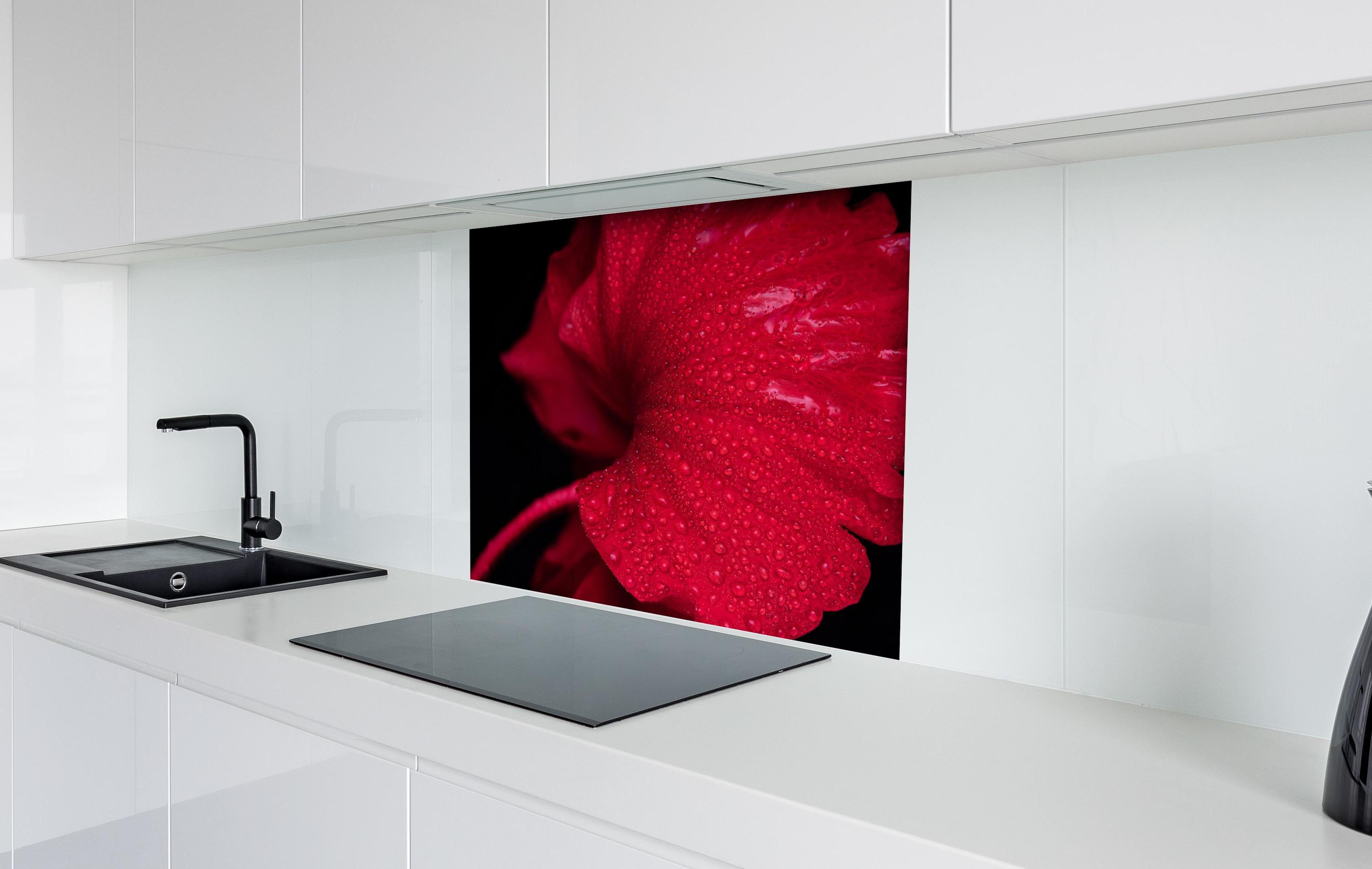 Spritzschutz - Nahaufnahme von rötlicher Frühlingsblume mit Regentropfen hinter einem Cerankochfeld zwischen Holz-Kochutensilien
