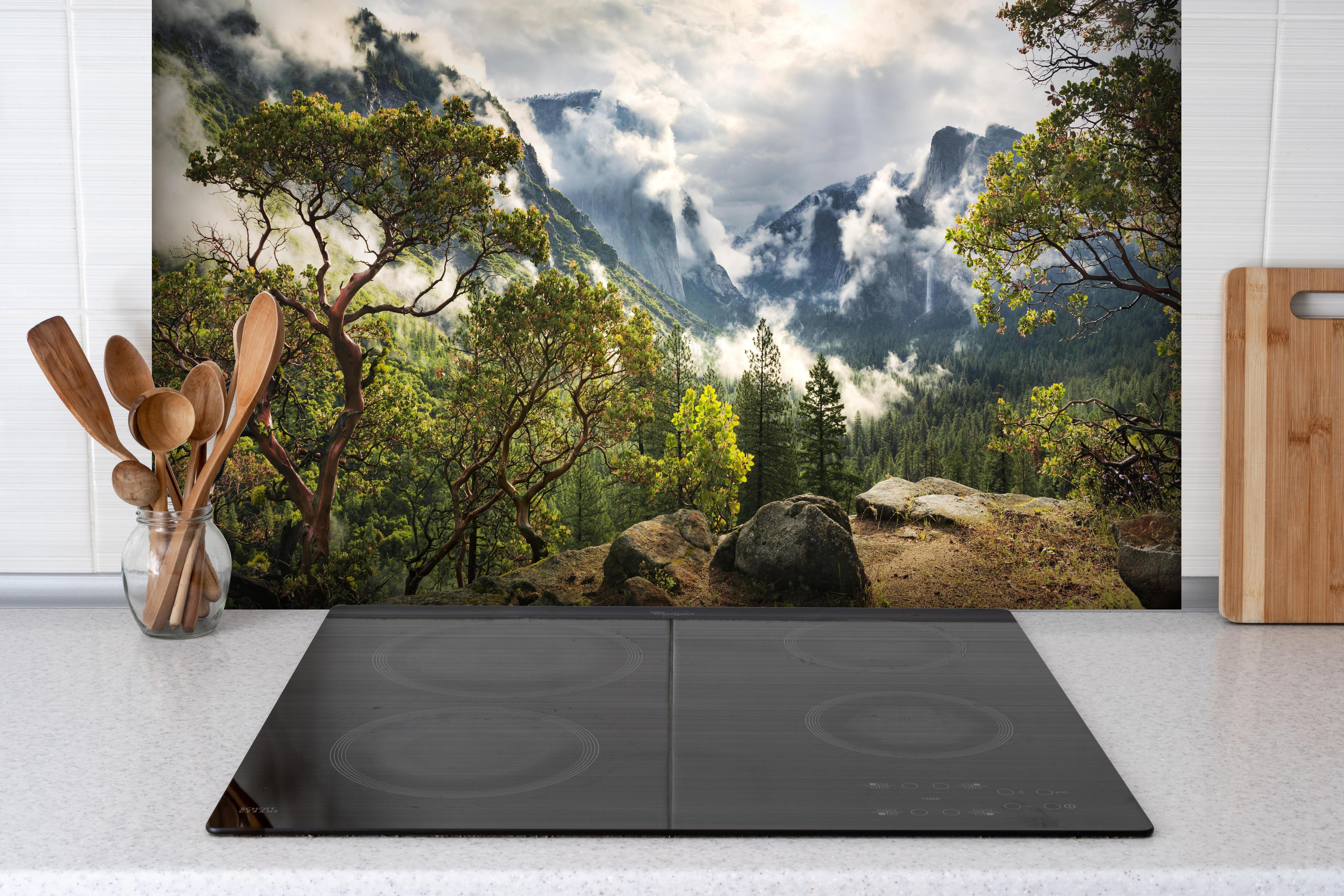 Spritzschutz - Nationalpark - Kalifornien, USA hinter einem Cerankochfeld zwischen Holz-Kochutensilien
