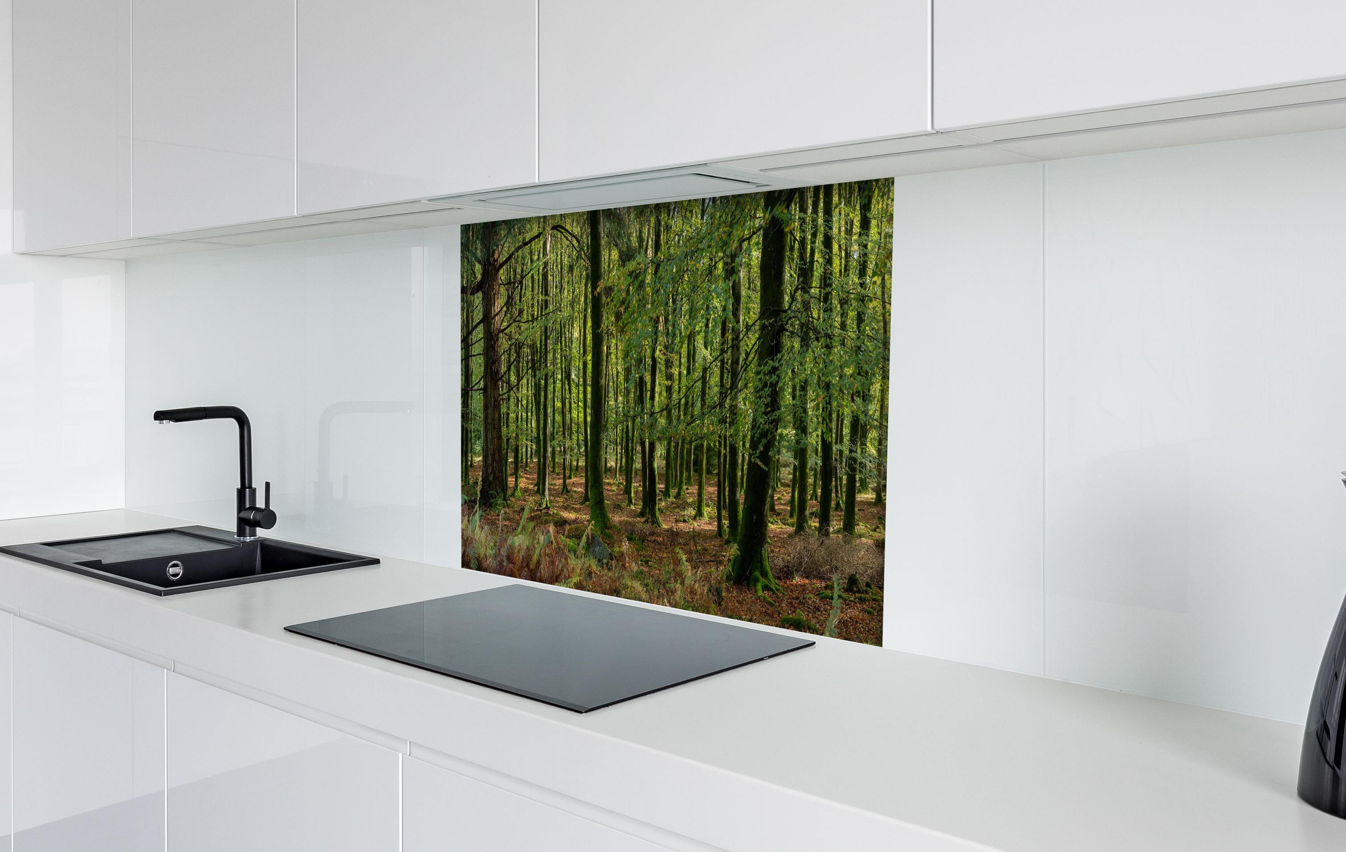 Spritzschutz - Natürliches Waldpanorama in Grün hinter einem Cerankochfeld zwischen Holz-Kochutensilien
