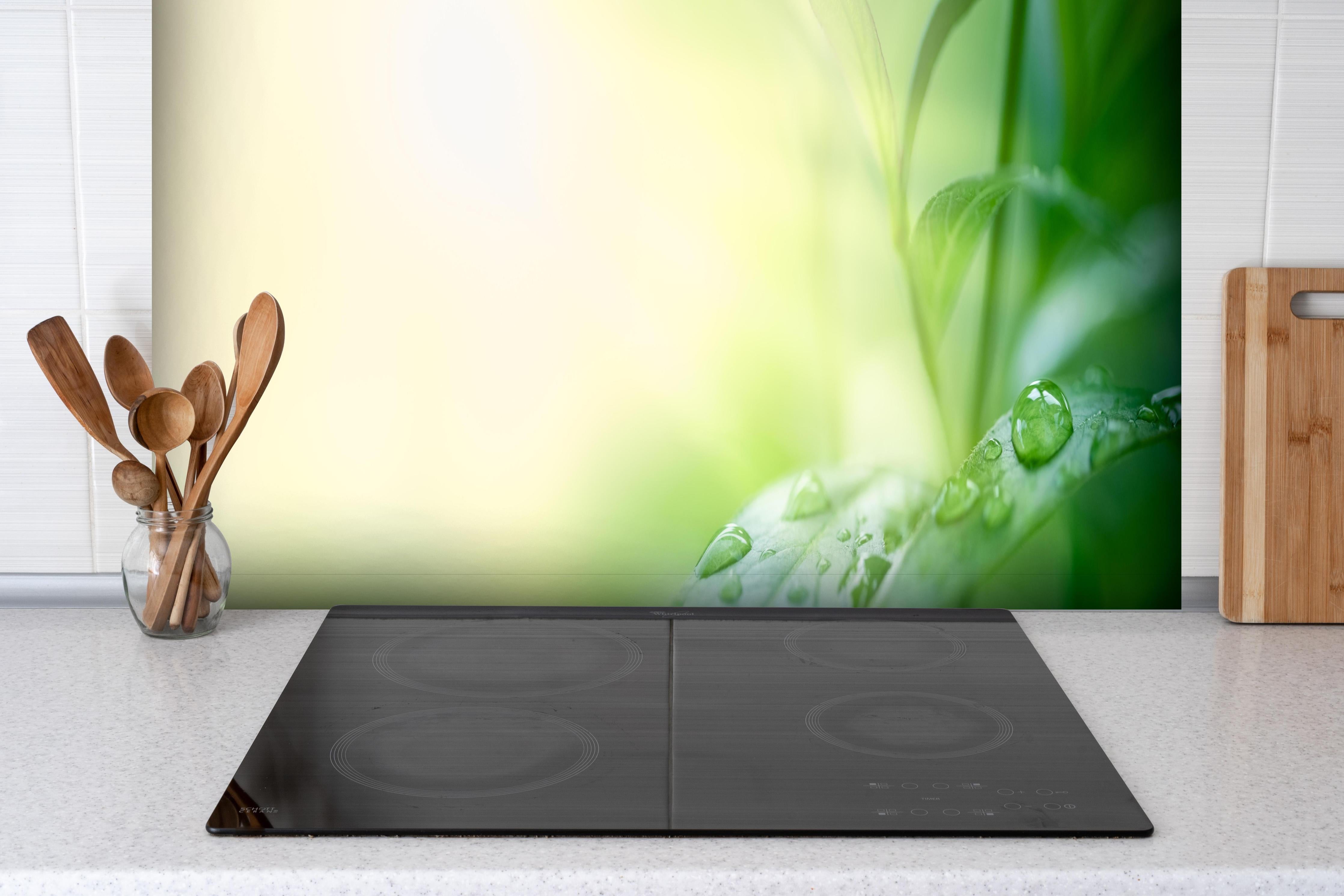 Spritzschutz - Natur Grünes Blatt mit Regentropfen hinter einem Cerankochfeld zwischen Holz-Kochutensilien
