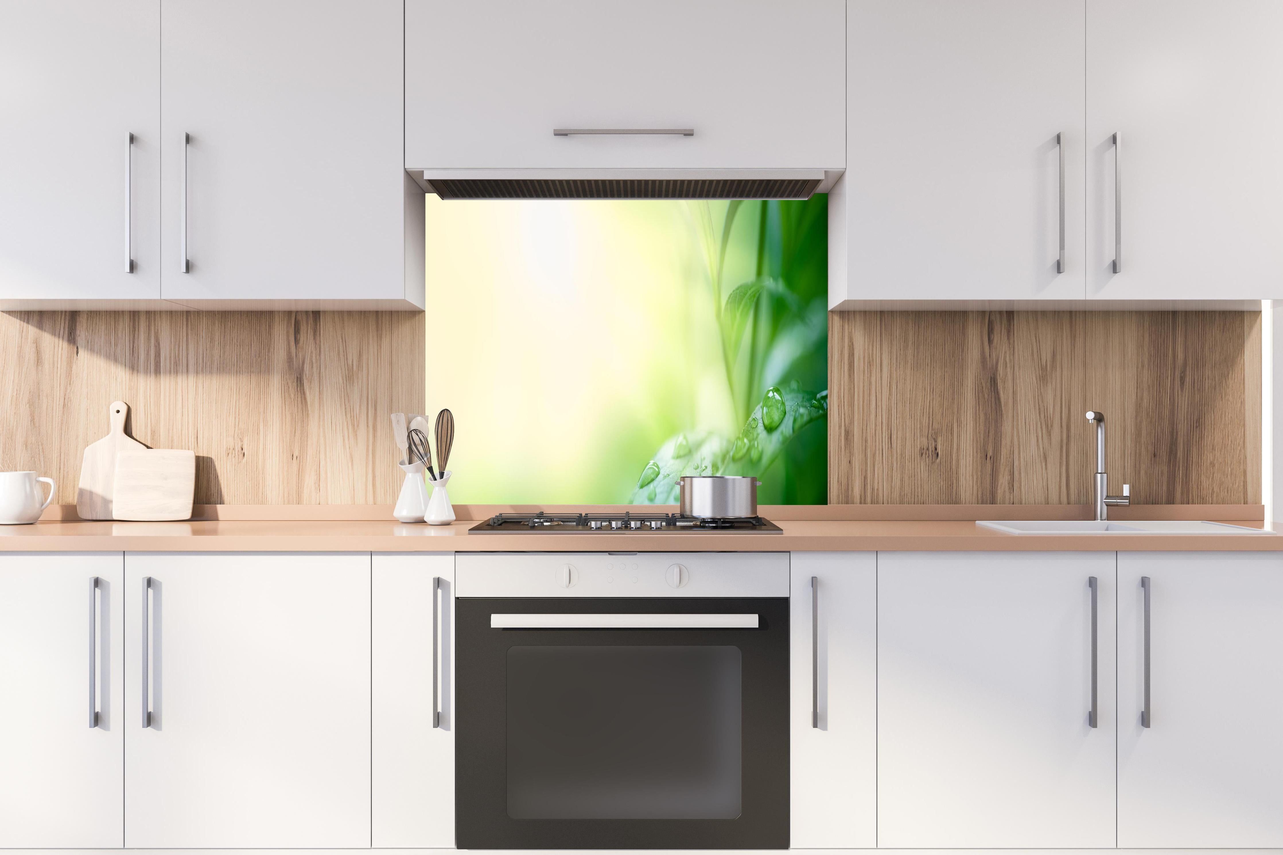 Spritzschutz - Natur Grünes Blatt mit Regentropfen hinter einem Cerankochfeld zwischen Holz-Kochutensilien
