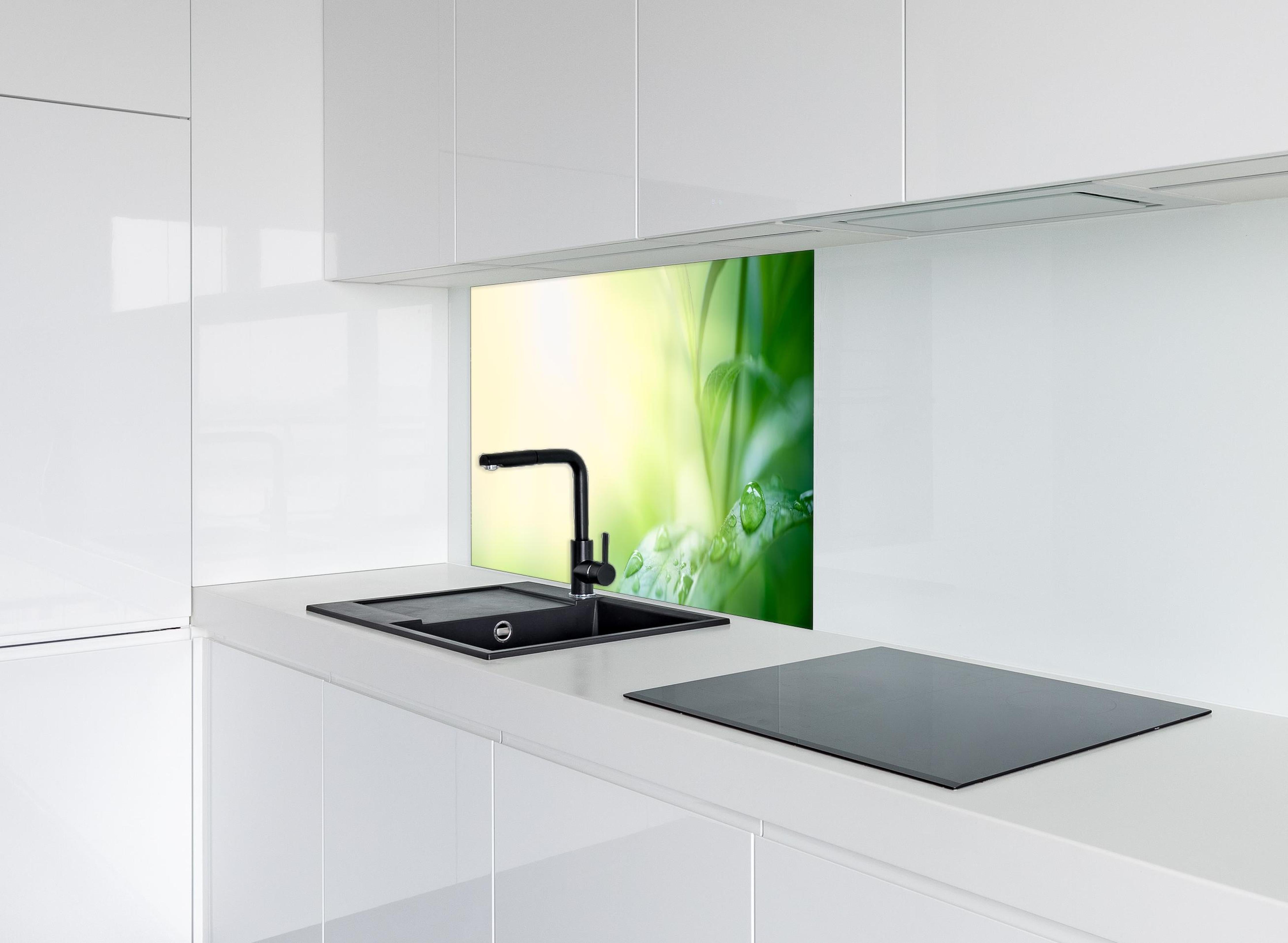 Spritzschutz - Natur Grünes Blatt mit Regentropfen hinter einem Cerankochfeld zwischen Holz-Kochutensilien
