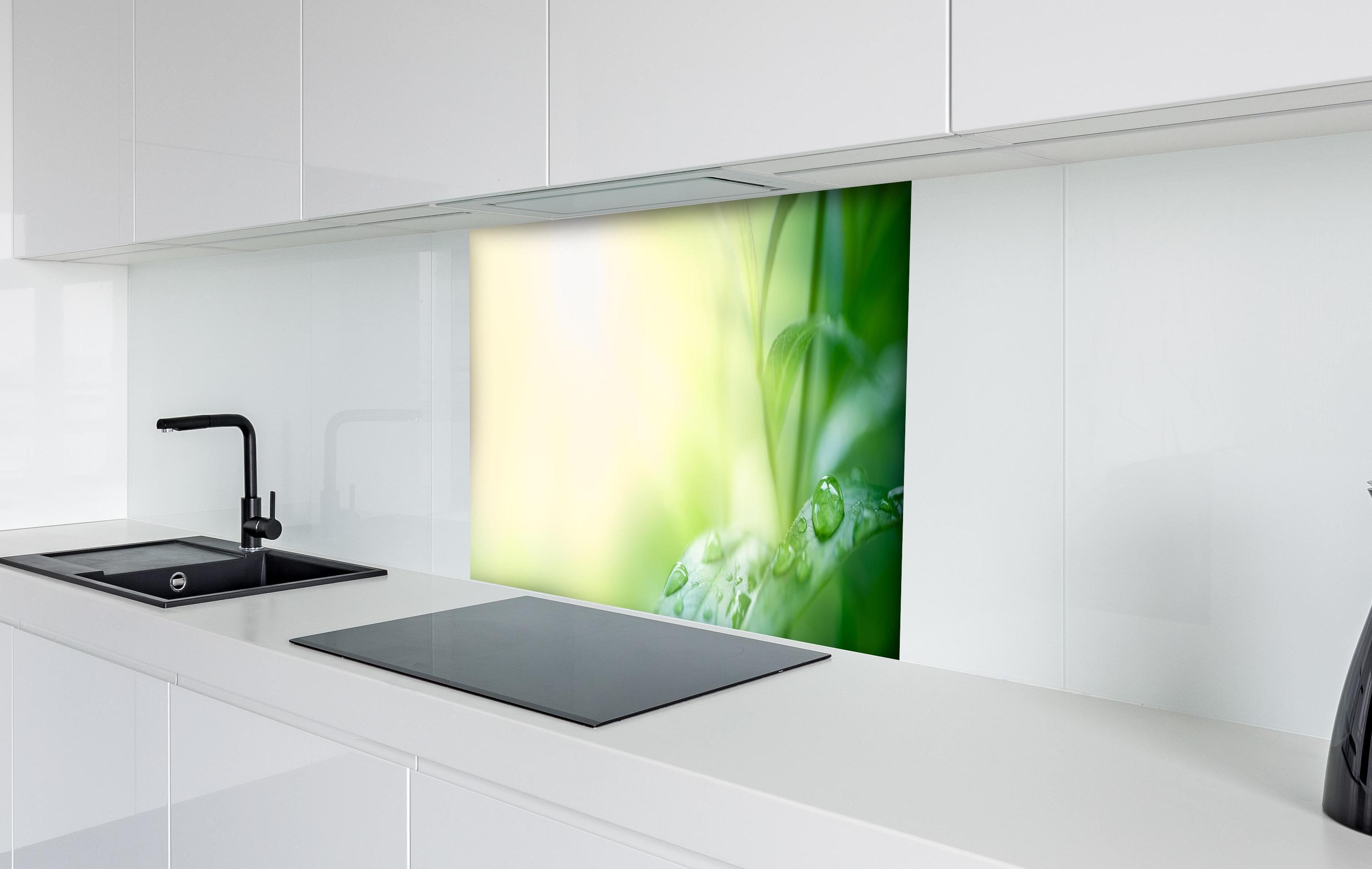 Spritzschutz - Natur Grünes Blatt mit Regentropfen hinter einem Cerankochfeld zwischen Holz-Kochutensilien
