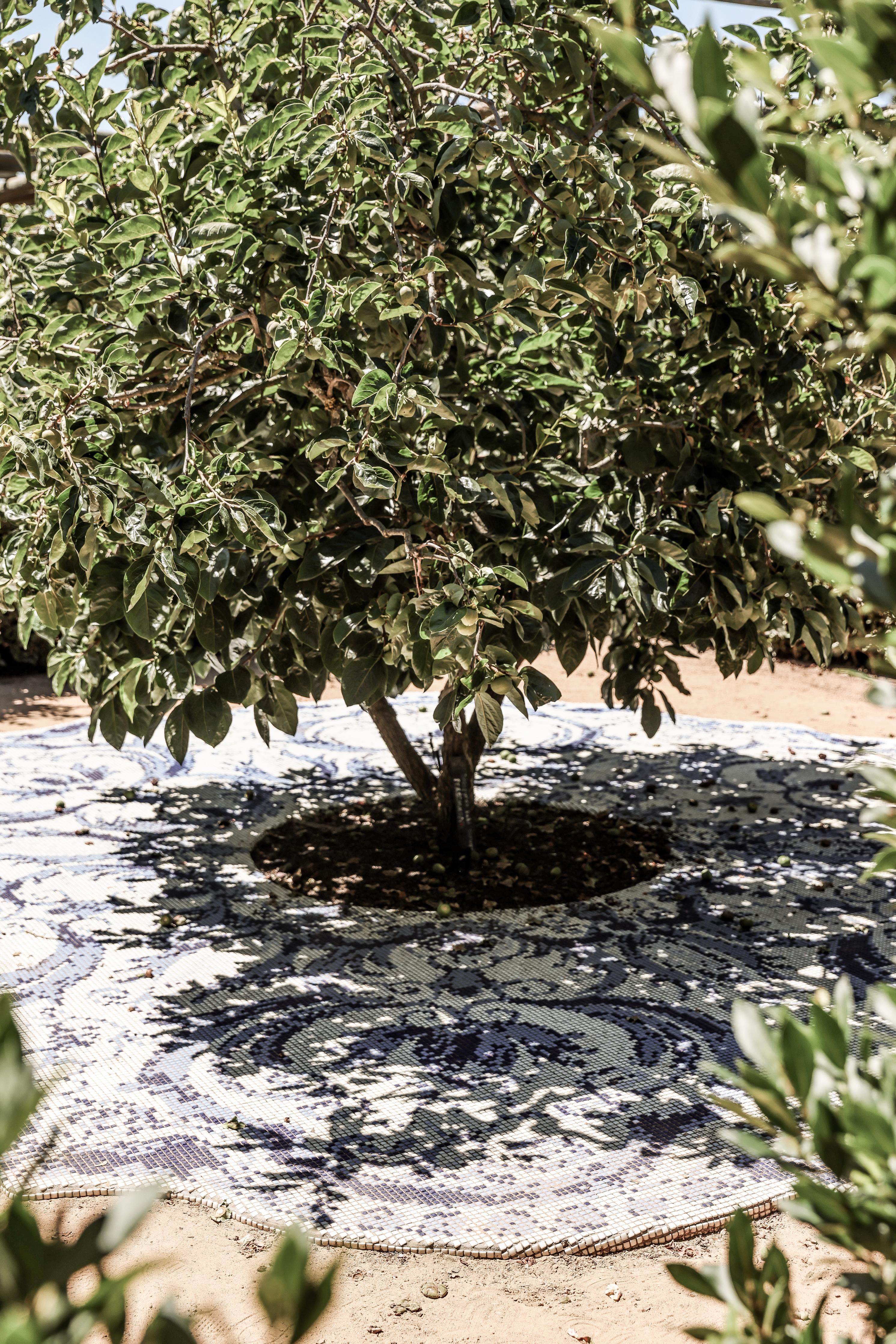 Spritzschutz-Naturmosaik Schatten Baum Sonnenlicht