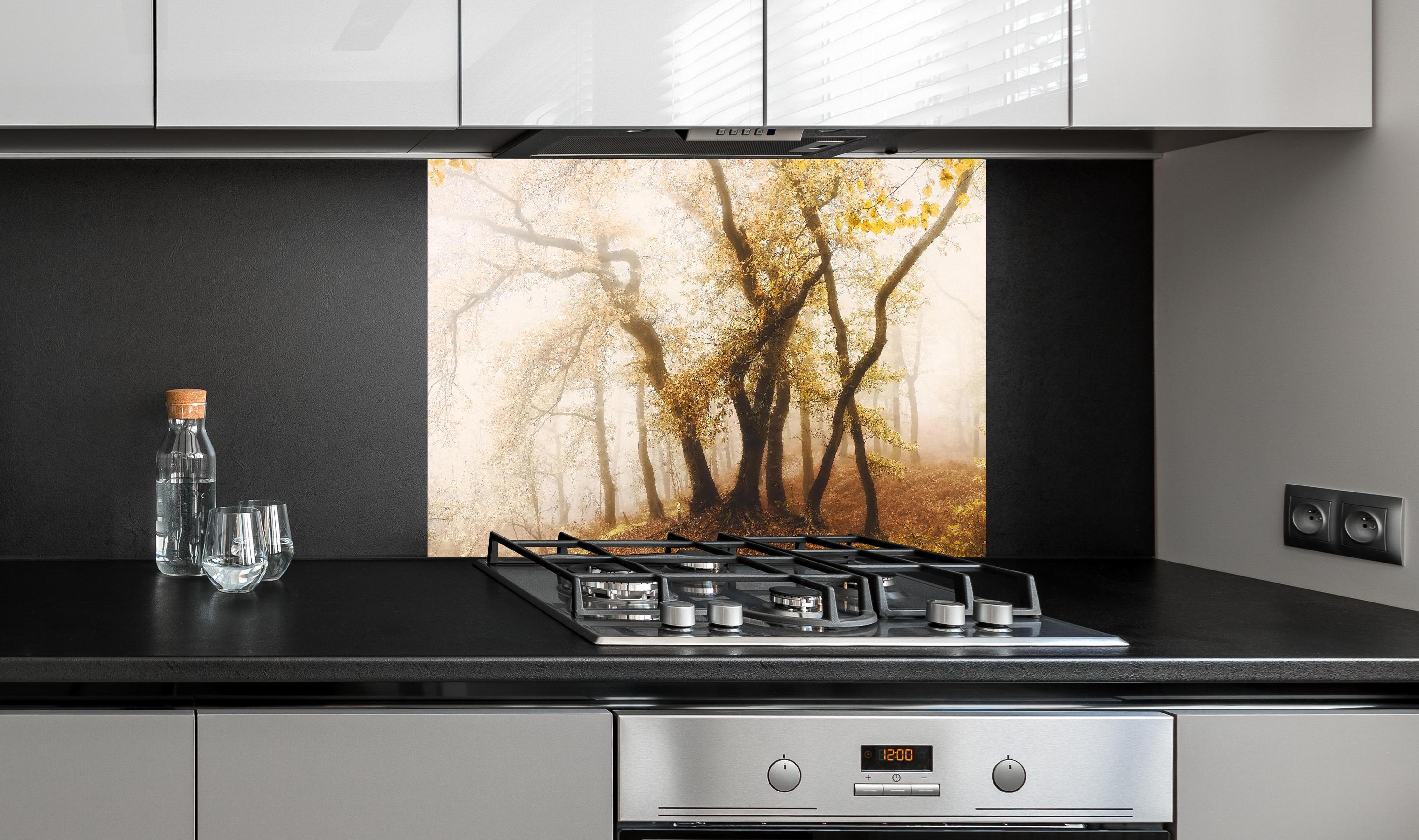 Spritzschutz - Nebeliger Wald im Herbst hinter einem Cerankochfeld zwischen Holz-Kochutensilien
