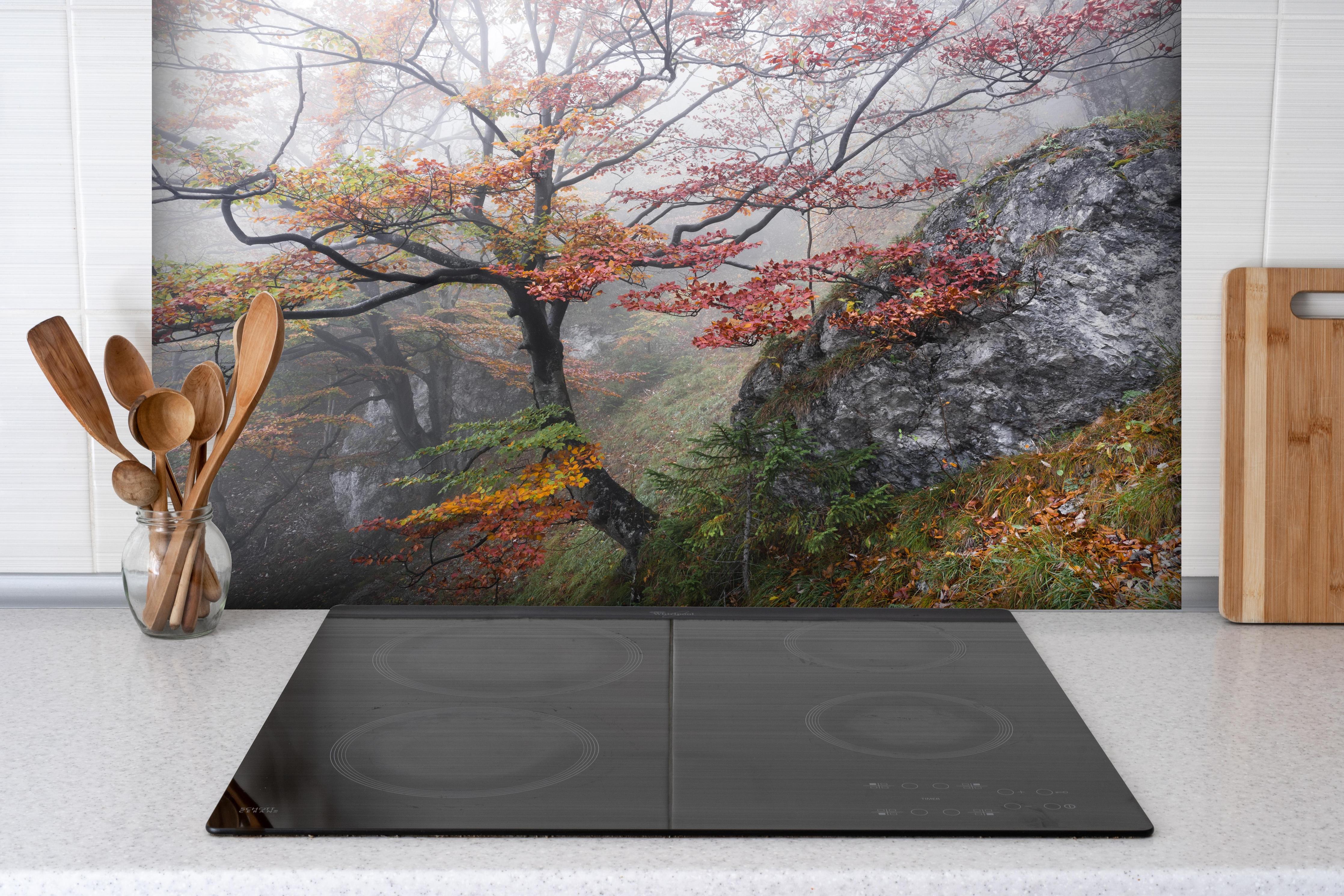 Spritzschutz - Nebliger Wald - Slowakei hinter einem Cerankochfeld zwischen Holz-Kochutensilien
