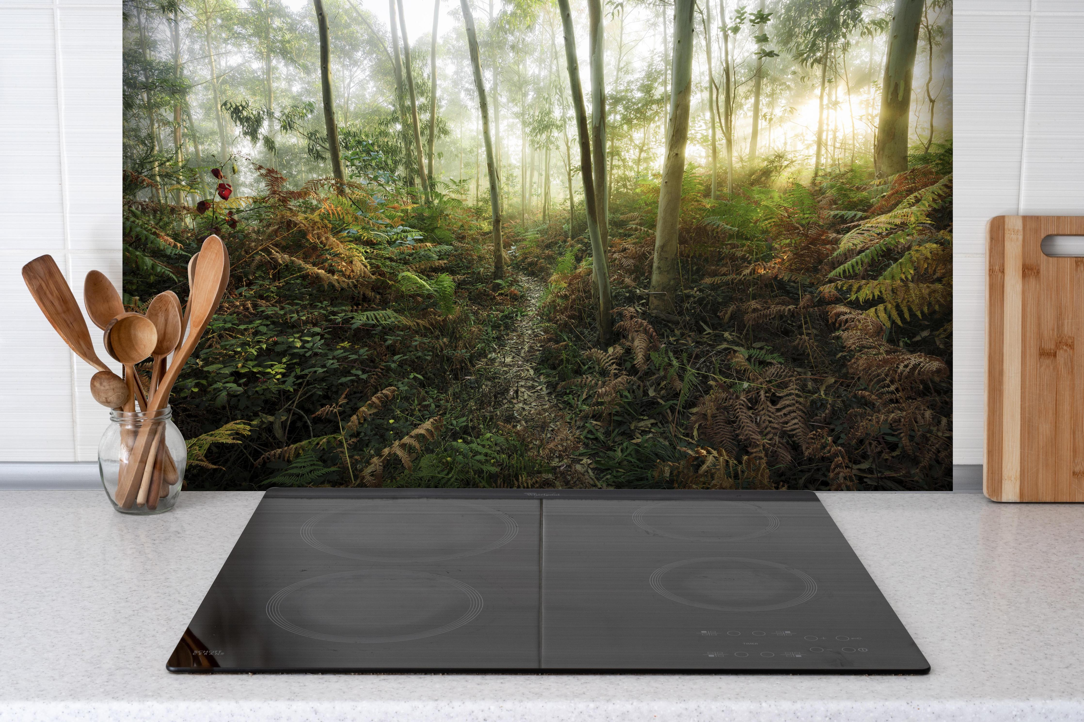 Spritzschutz - Nebliger Wald - Spanien hinter einem Cerankochfeld zwischen Holz-Kochutensilien
