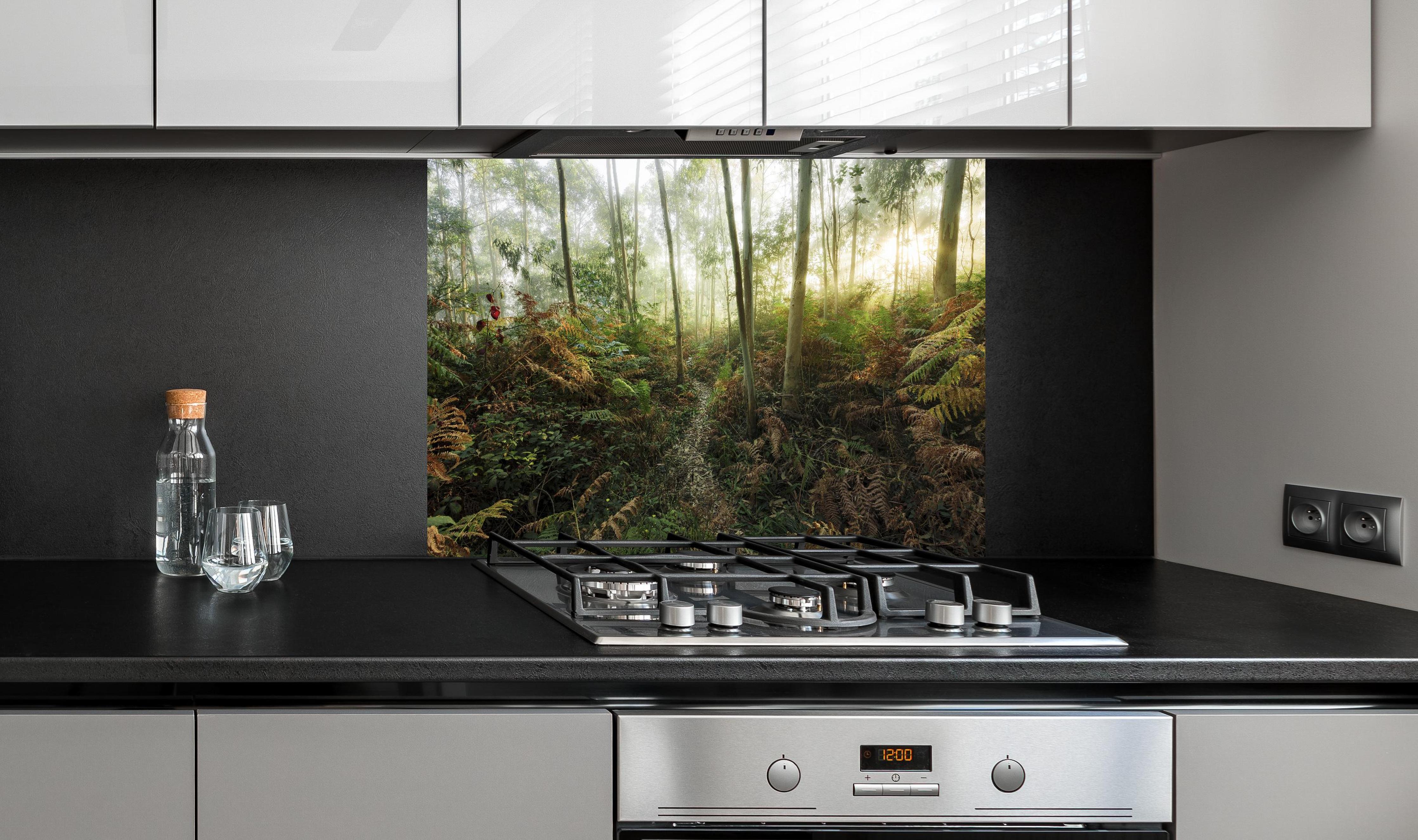 Spritzschutz - Nebliger Wald - Spanien hinter einem Cerankochfeld zwischen Holz-Kochutensilien
