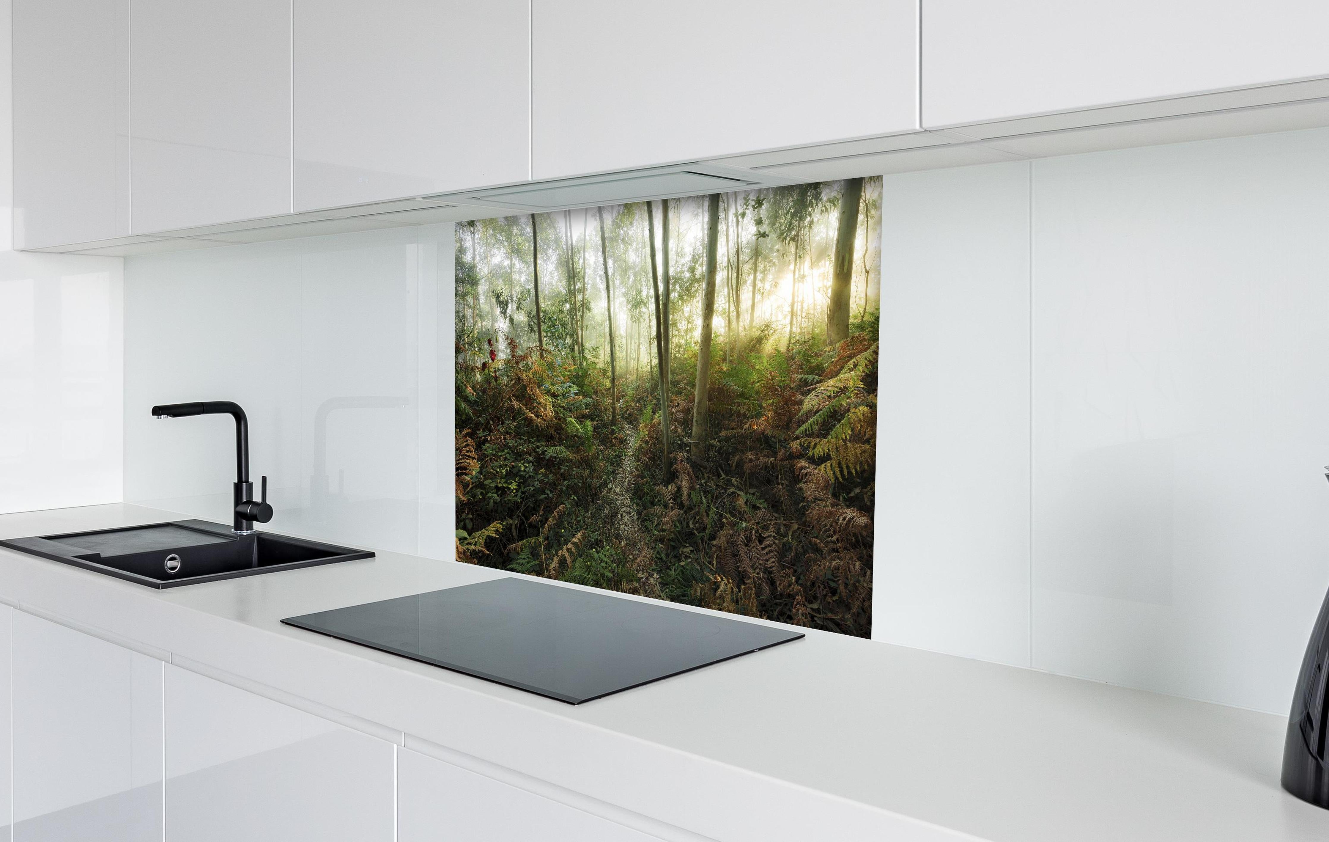 Spritzschutz - Nebliger Wald - Spanien hinter einem Cerankochfeld zwischen Holz-Kochutensilien
