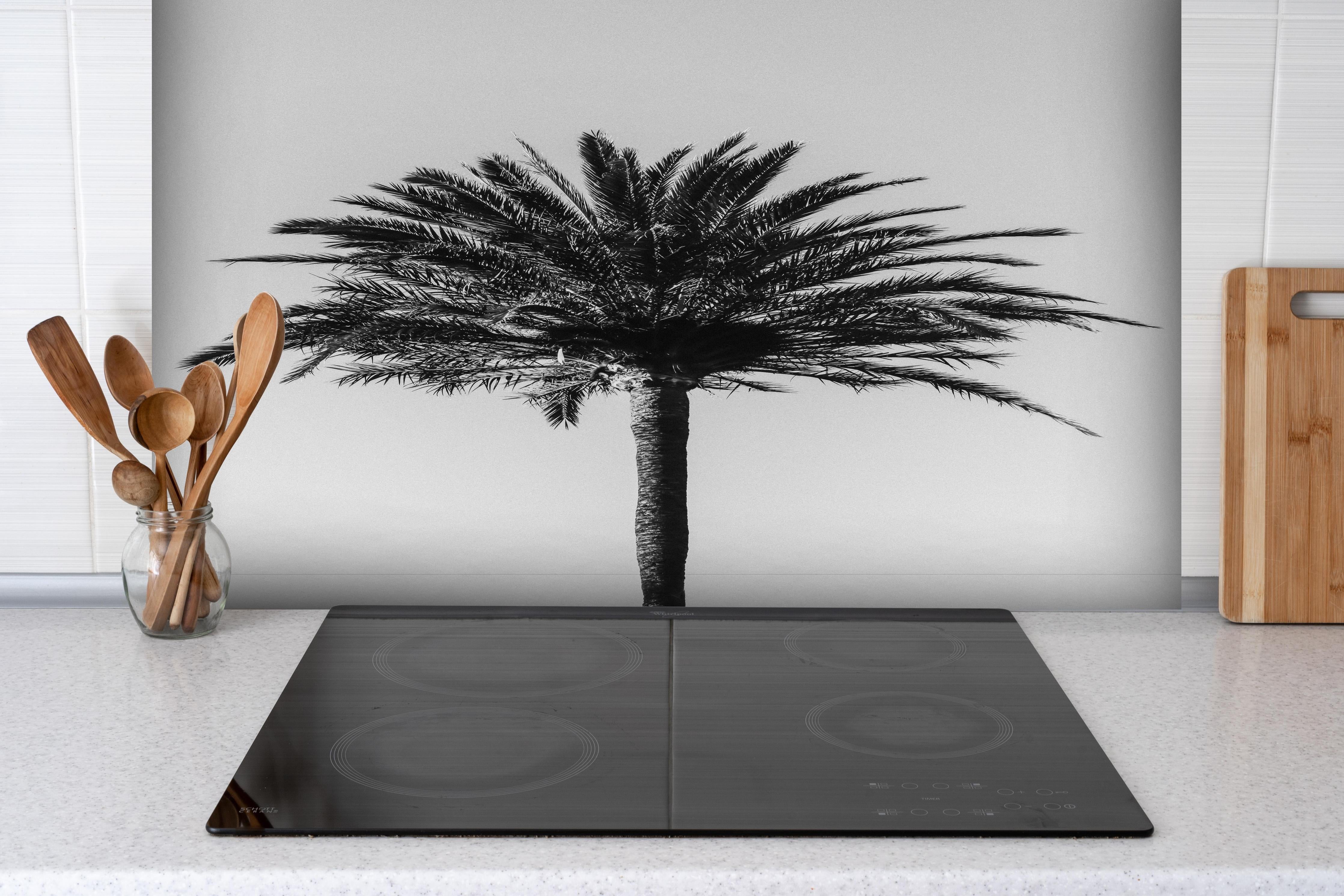 Spritzschutz - Palme - Schwarz-weiß hinter einem Cerankochfeld zwischen Holz-Kochutensilien
