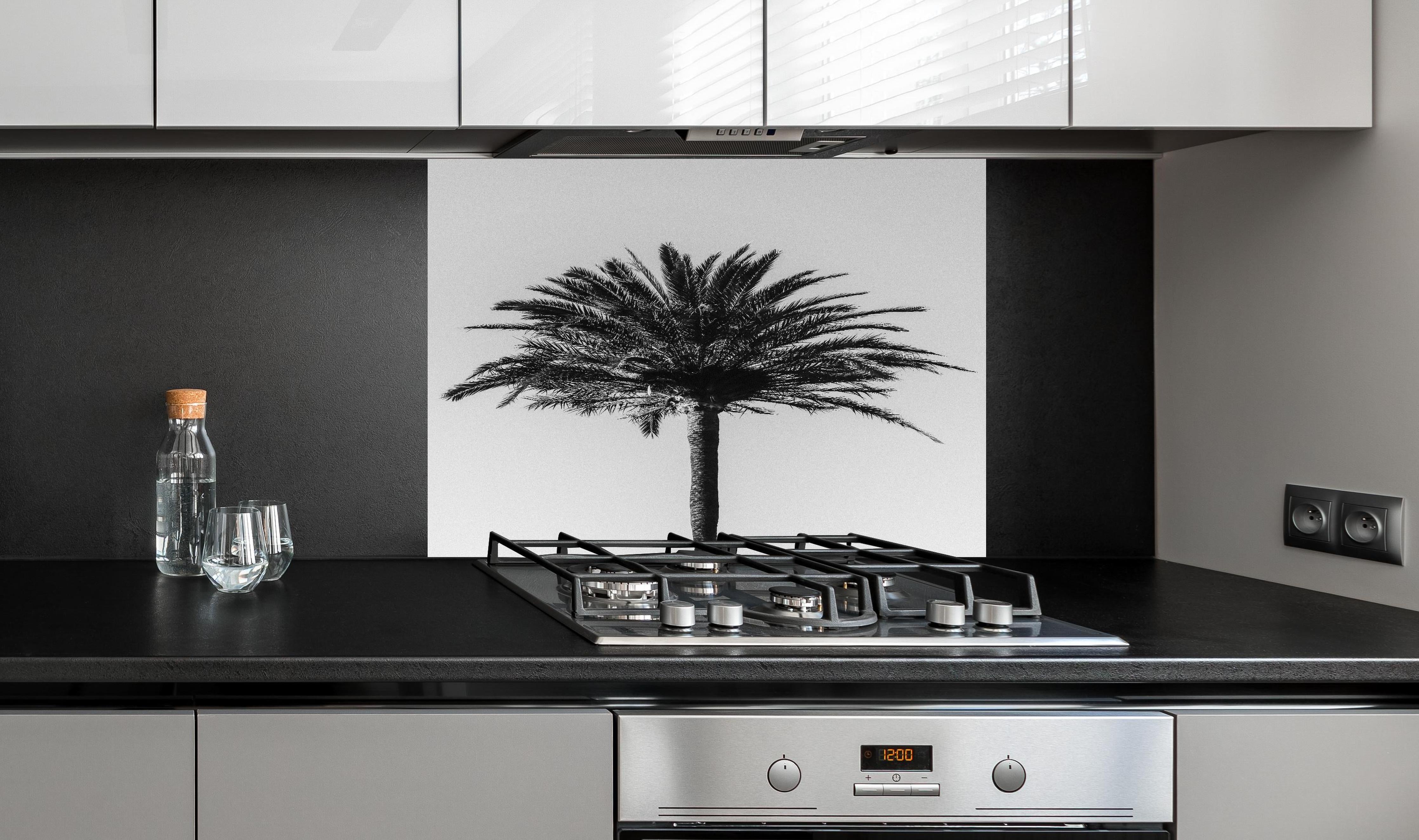Spritzschutz - Palme - Schwarz-weiß hinter einem Cerankochfeld zwischen Holz-Kochutensilien
