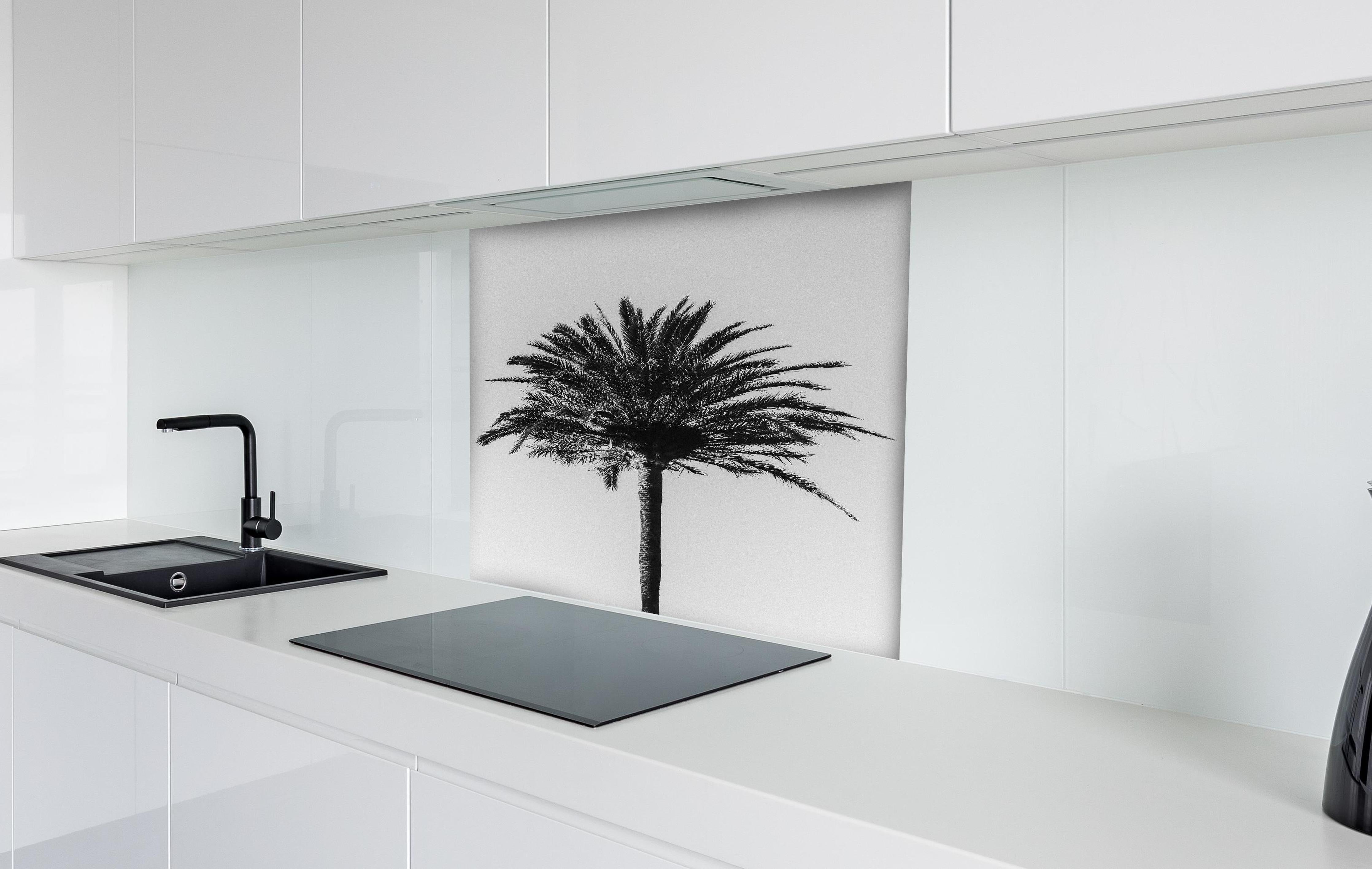 Spritzschutz - Palme - Schwarz-weiß hinter einem Cerankochfeld zwischen Holz-Kochutensilien
