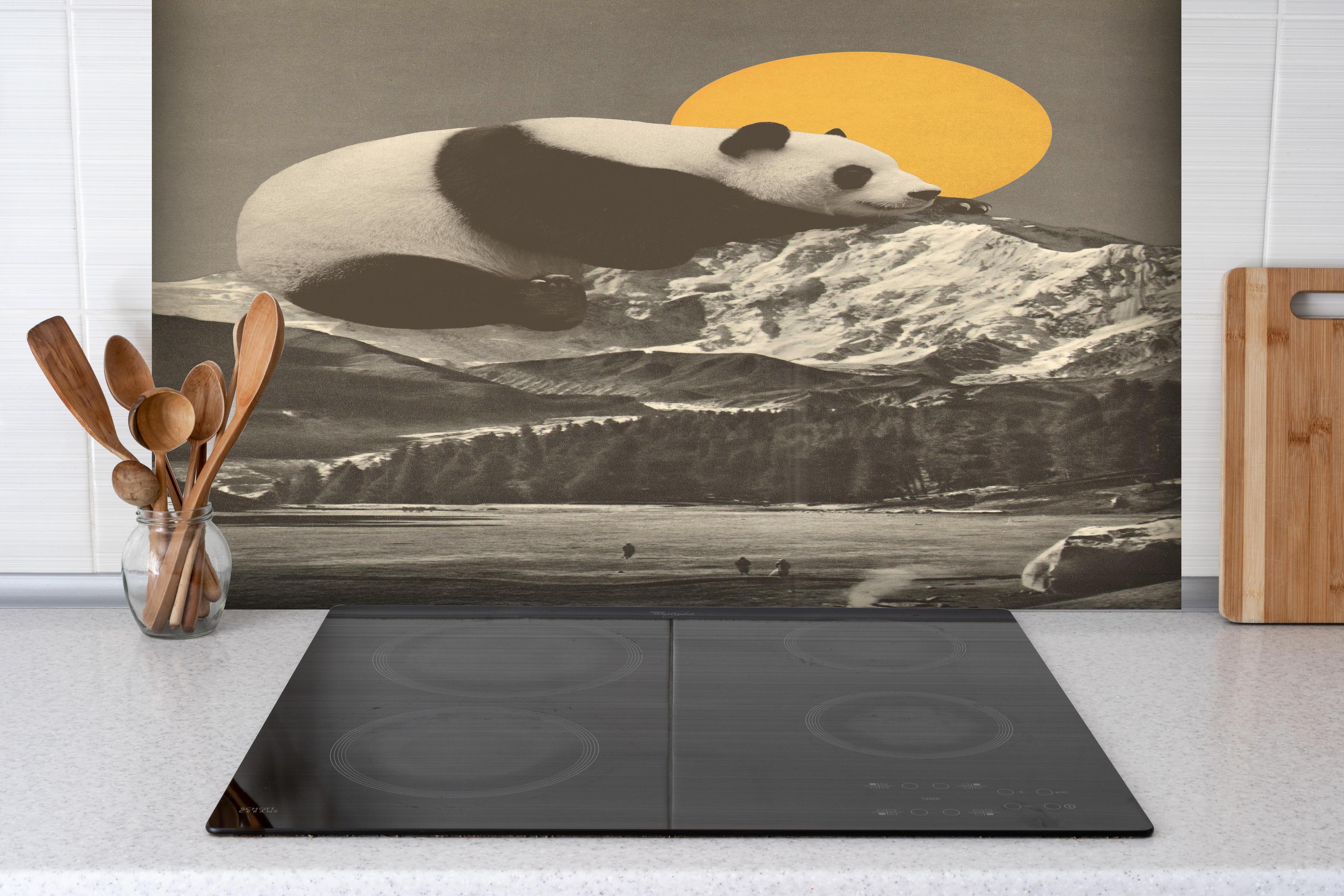 Spritzschutz - Panda Rast in monochromer Bergwelt hinter einem Cerankochfeld zwischen Holz-Kochutensilien
