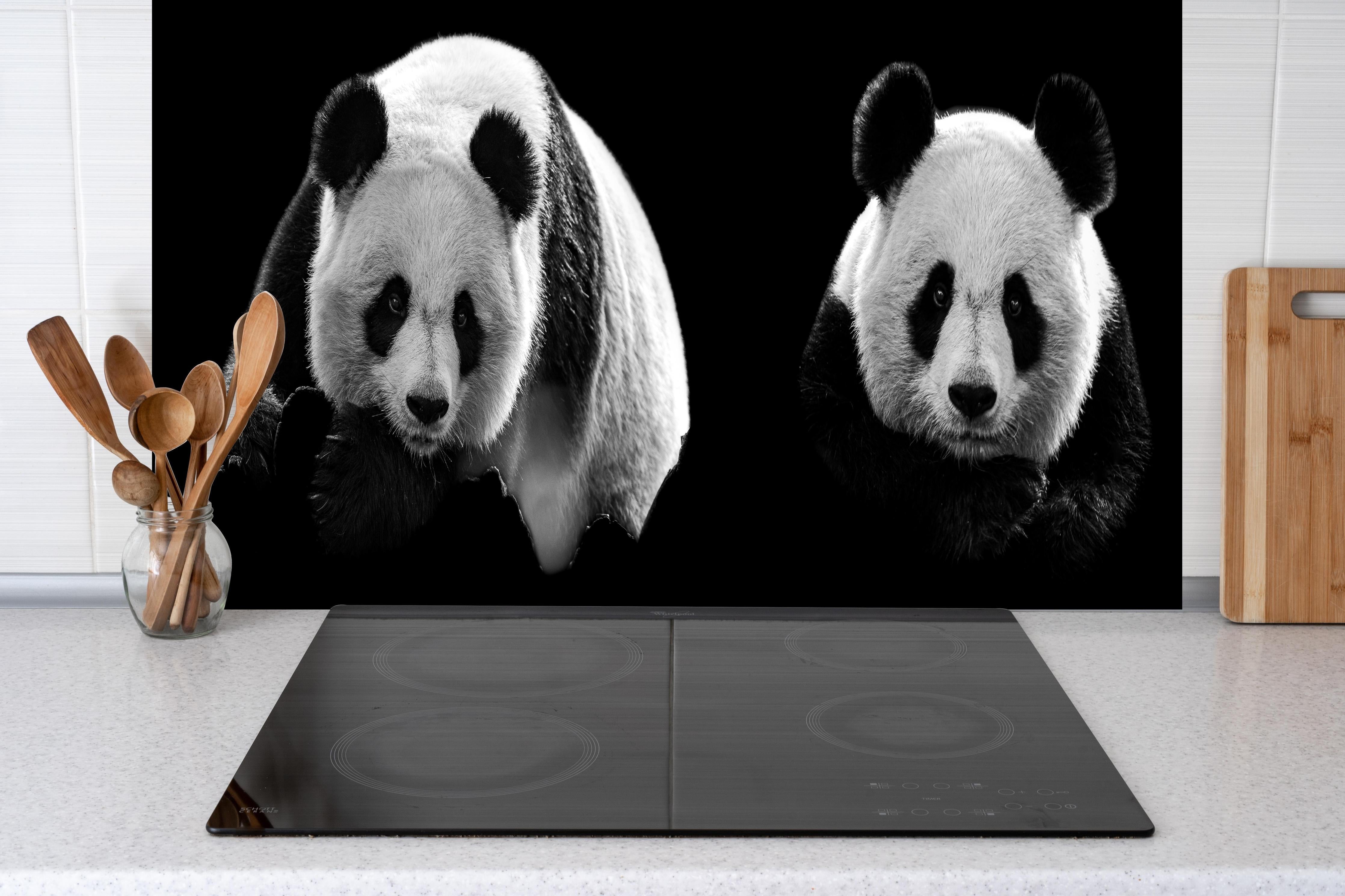 Spritzschutz - Panda mit schwarzem Hintergrund hinter einem Cerankochfeld zwischen Holz-Kochutensilien
