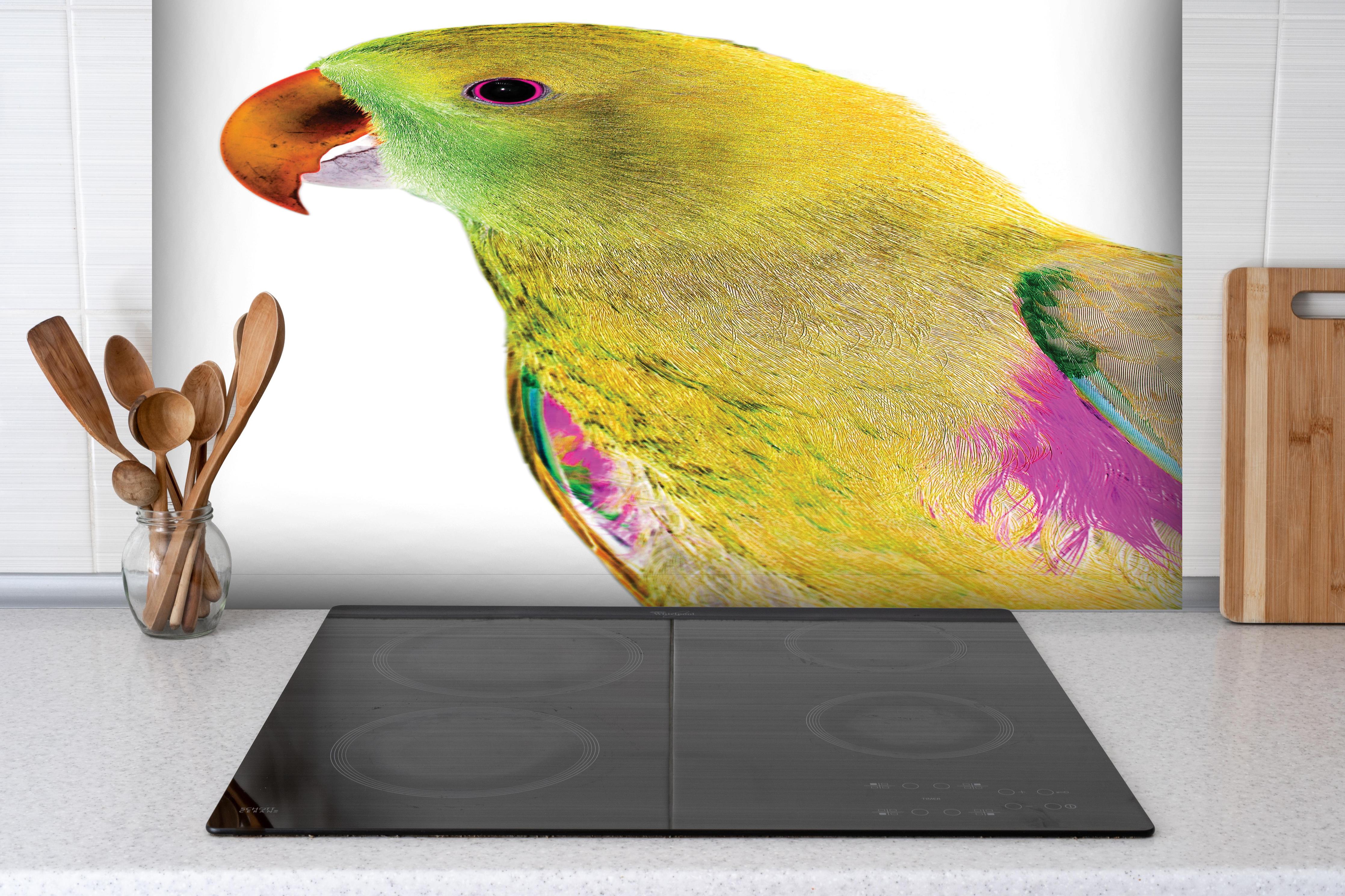 Spritzschutz - Papagei - Nahaufnahme hinter einem Cerankochfeld zwischen Holz-Kochutensilien
