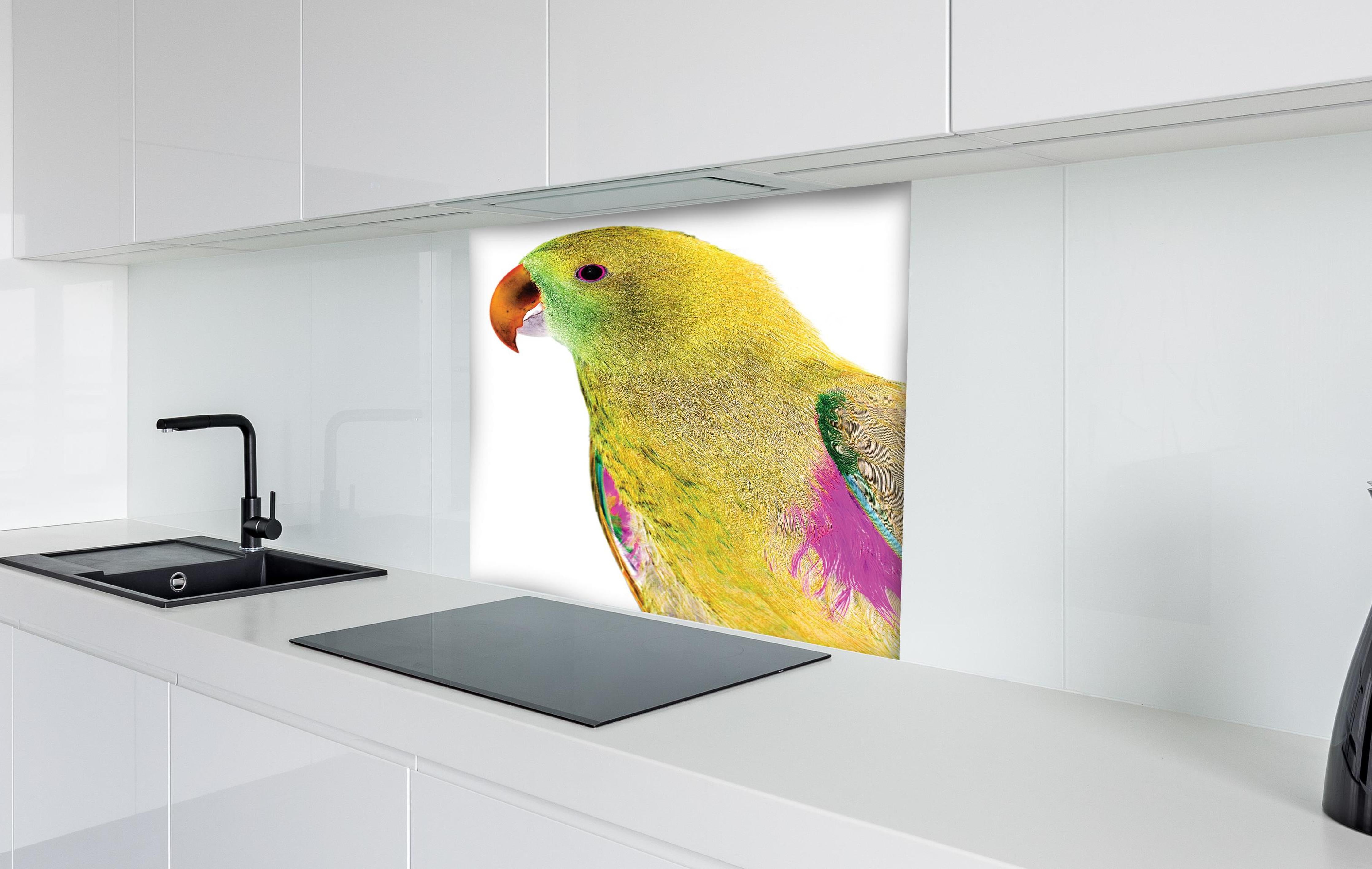 Spritzschutz - Papagei - Nahaufnahme hinter einem Cerankochfeld zwischen Holz-Kochutensilien
