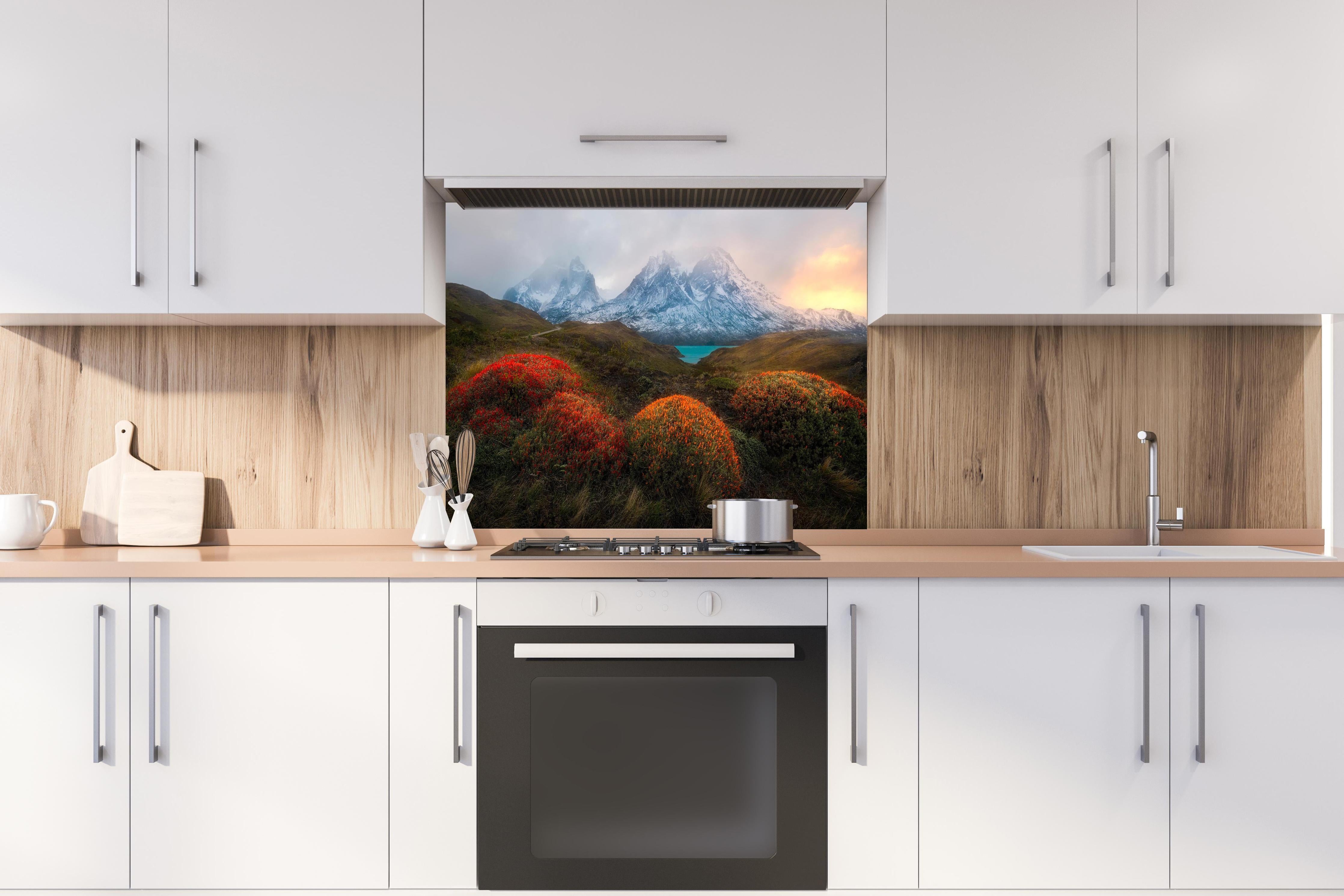 Spritzschutz - Patagonischer Frühling mit schneebedeckten Gipfeln hinter einem Cerankochfeld zwischen Holz-Kochutensilien
